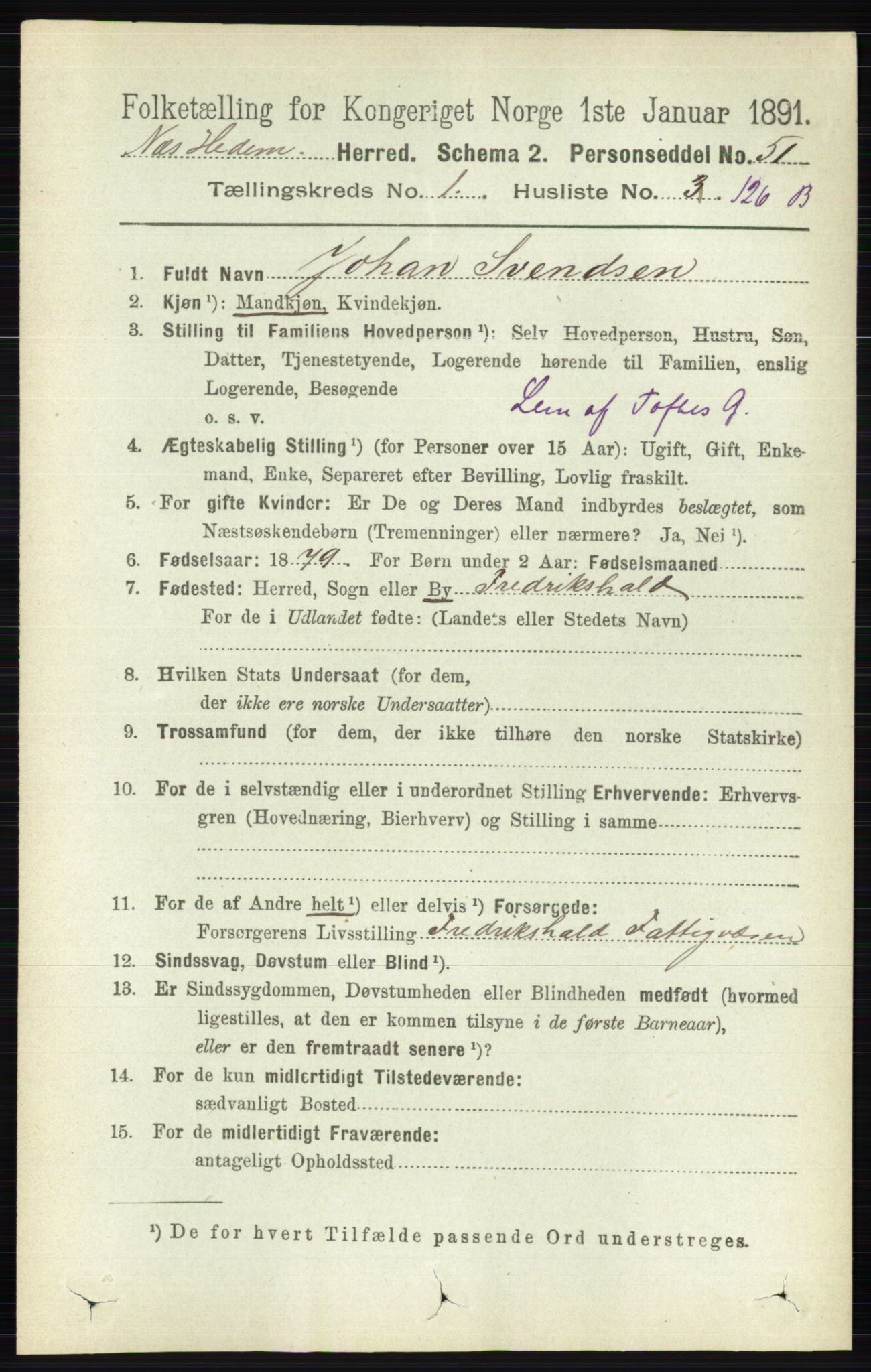 RA, Folketelling 1891 for 0411 Nes herred, 1891, s. 958