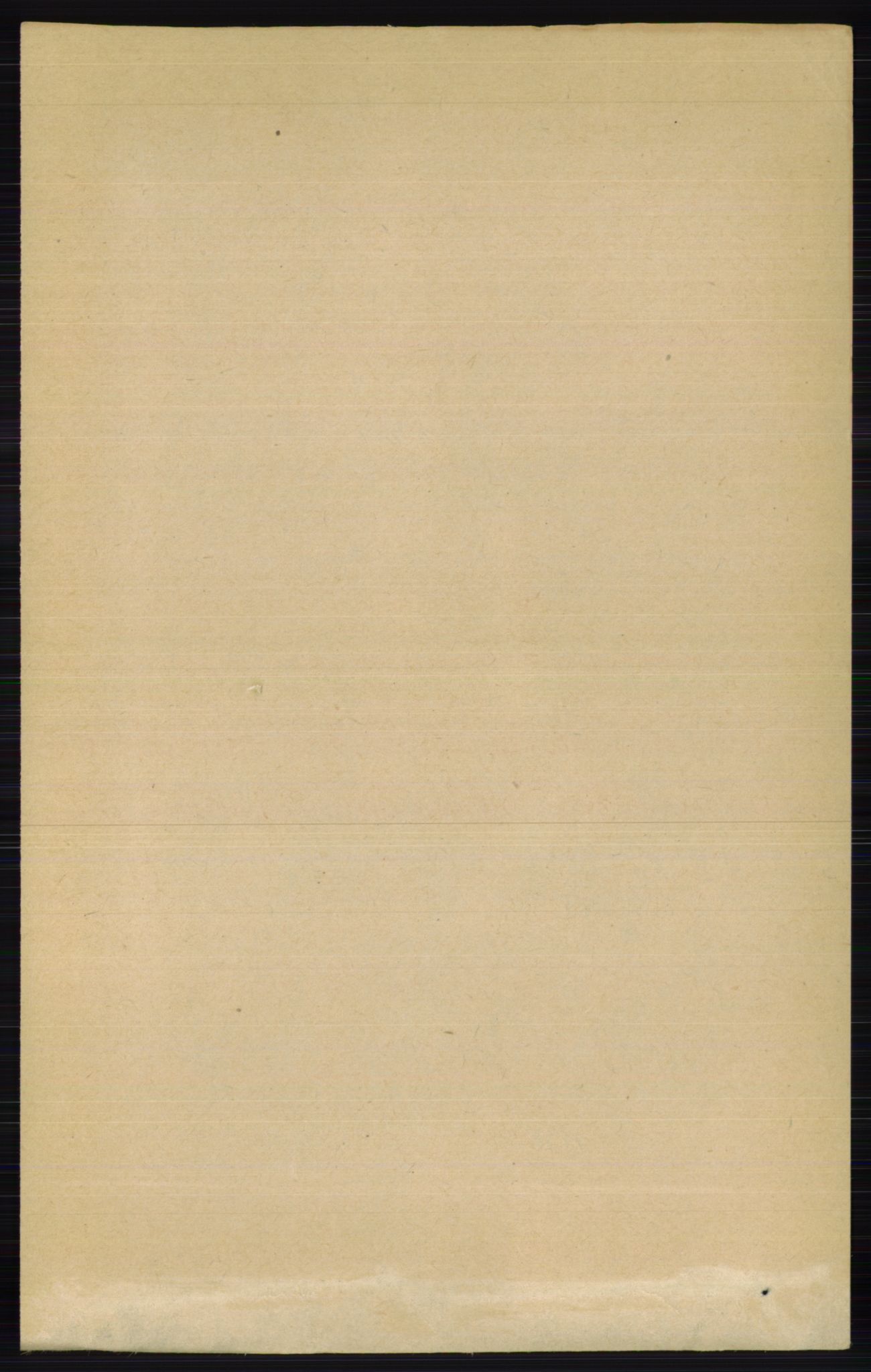 RA, Folketelling 1891 for 0411 Nes herred, 1891, s. 2042