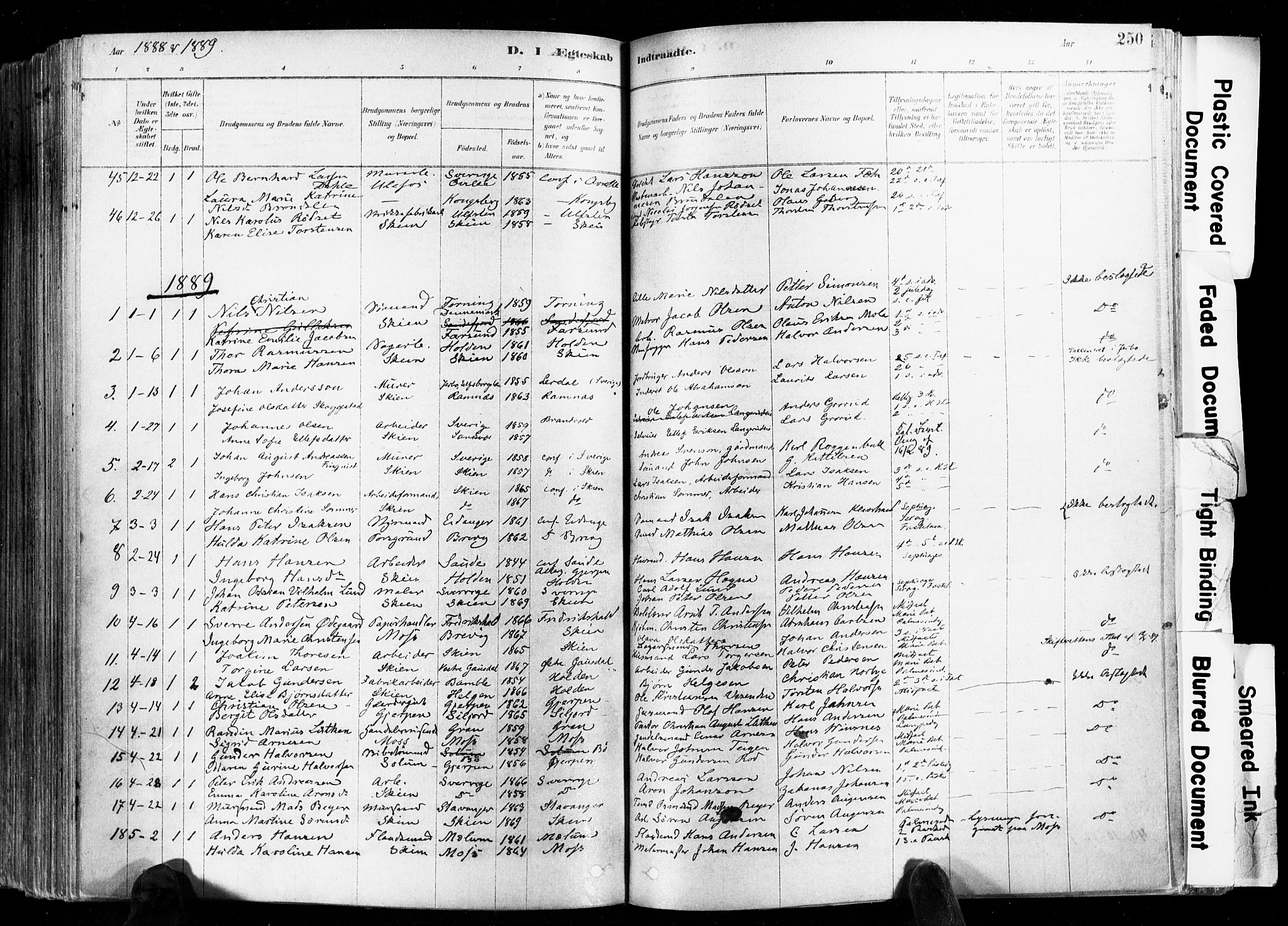Skien kirkebøker, AV/SAKO-A-302/F/Fa/L0009: Ministerialbok nr. 9, 1878-1890, s. 250