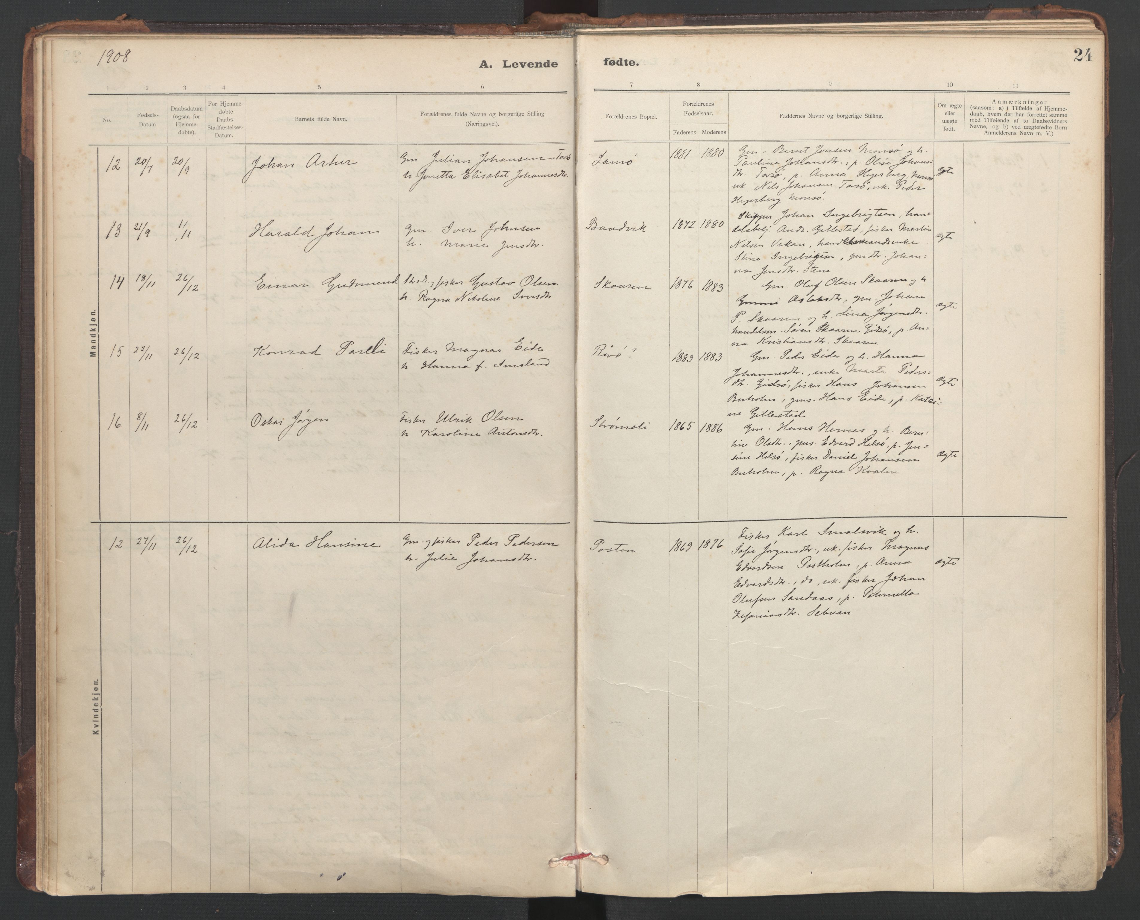 Ministerialprotokoller, klokkerbøker og fødselsregistre - Sør-Trøndelag, AV/SAT-A-1456/635/L0552: Ministerialbok nr. 635A02, 1899-1919, s. 24