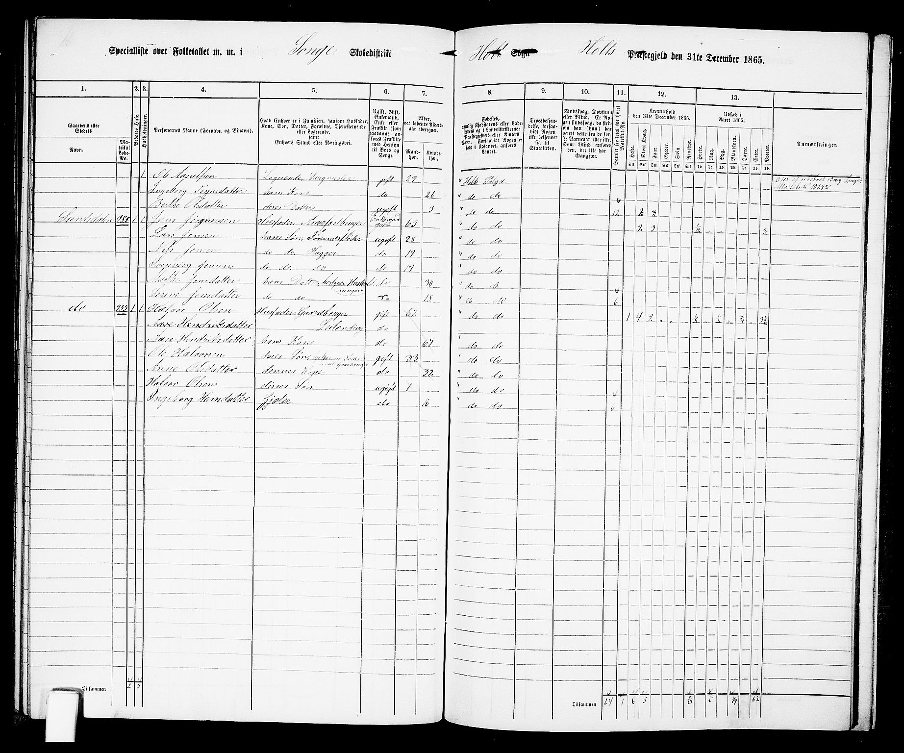 RA, Folketelling 1865 for 0914L Holt prestegjeld, Holt sokn, 1865, s. 170