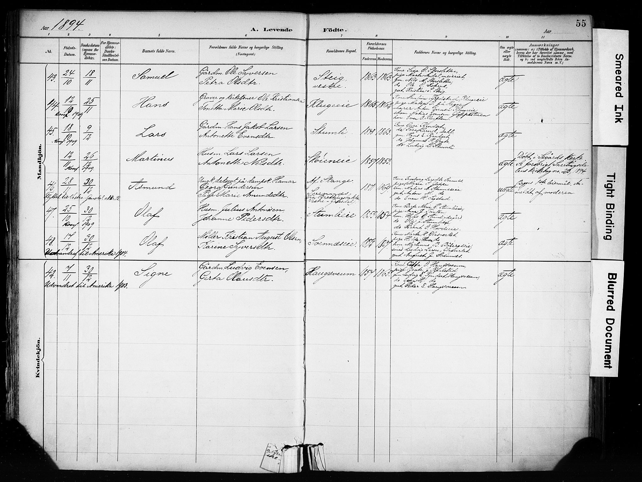 Biri prestekontor, AV/SAH-PREST-096/H/Ha/Haa/L0009: Ministerialbok nr. 9, 1887-1900, s. 55