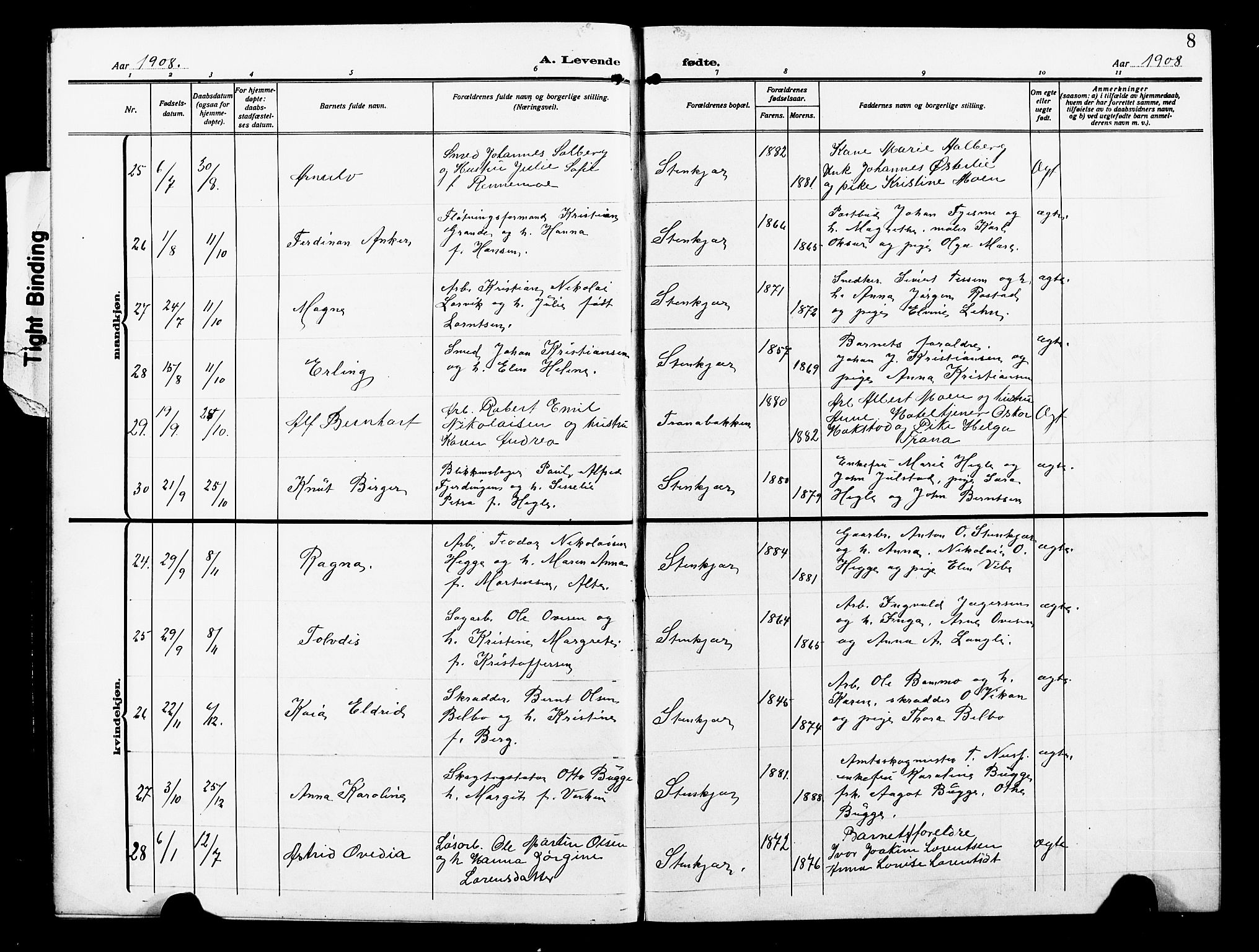 Ministerialprotokoller, klokkerbøker og fødselsregistre - Nord-Trøndelag, AV/SAT-A-1458/739/L0376: Klokkerbok nr. 739C04, 1908-1917, s. 8