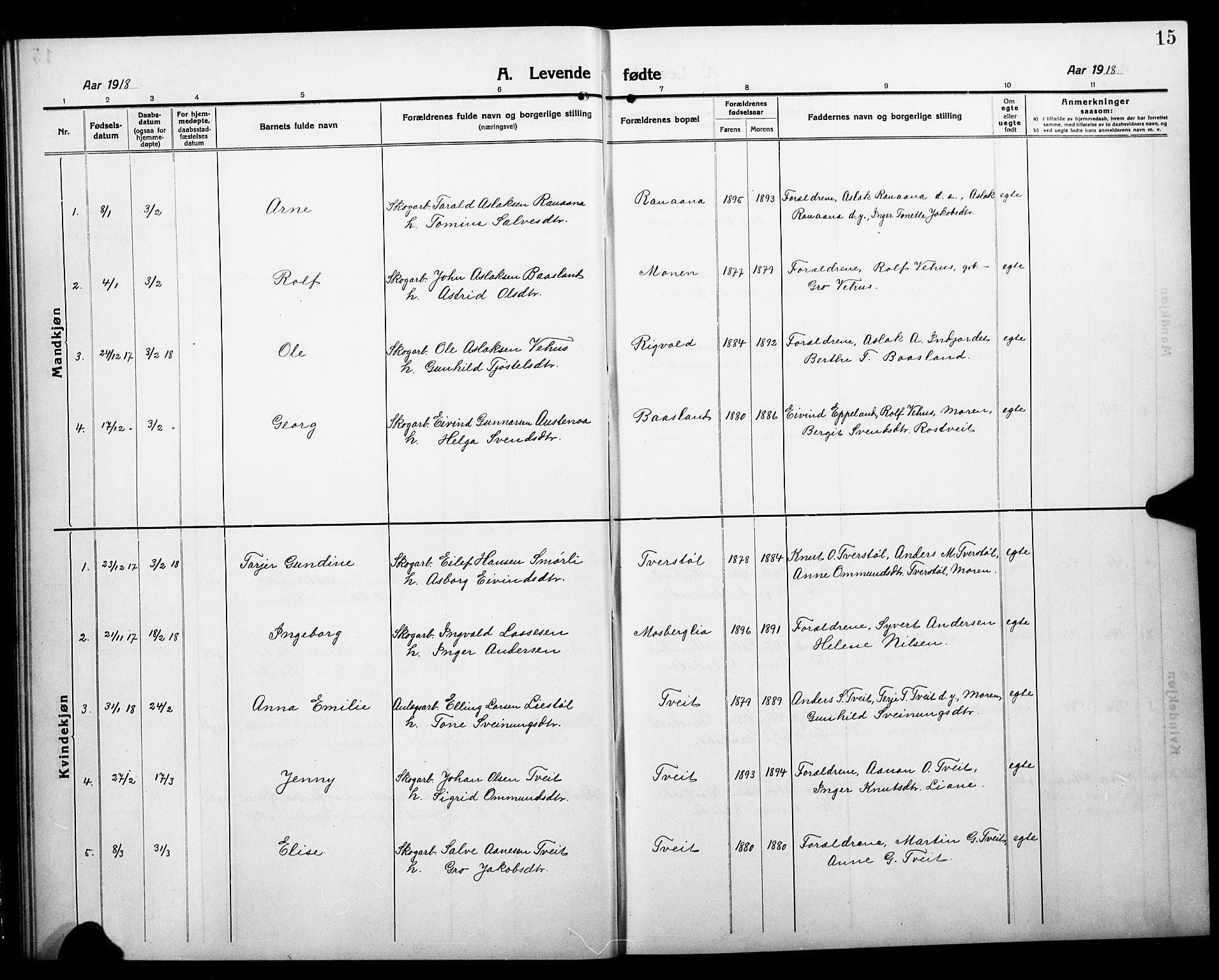 Åmli sokneprestkontor, AV/SAK-1111-0050/F/Fb/Fbc/L0006: Klokkerbok nr. B 6, 1915-1929, s. 15