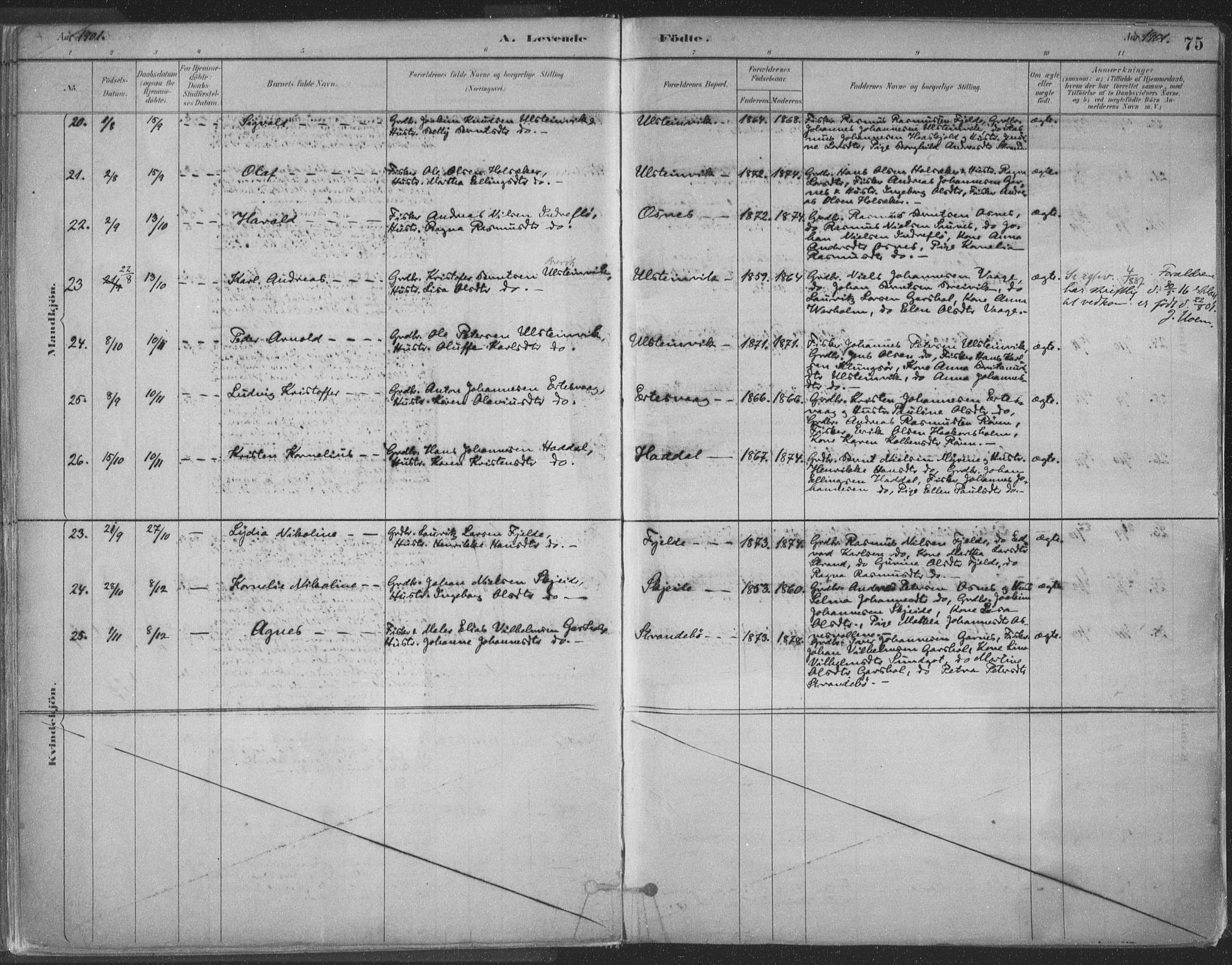 Ministerialprotokoller, klokkerbøker og fødselsregistre - Møre og Romsdal, SAT/A-1454/509/L0106: Ministerialbok nr. 509A04, 1883-1922, s. 75