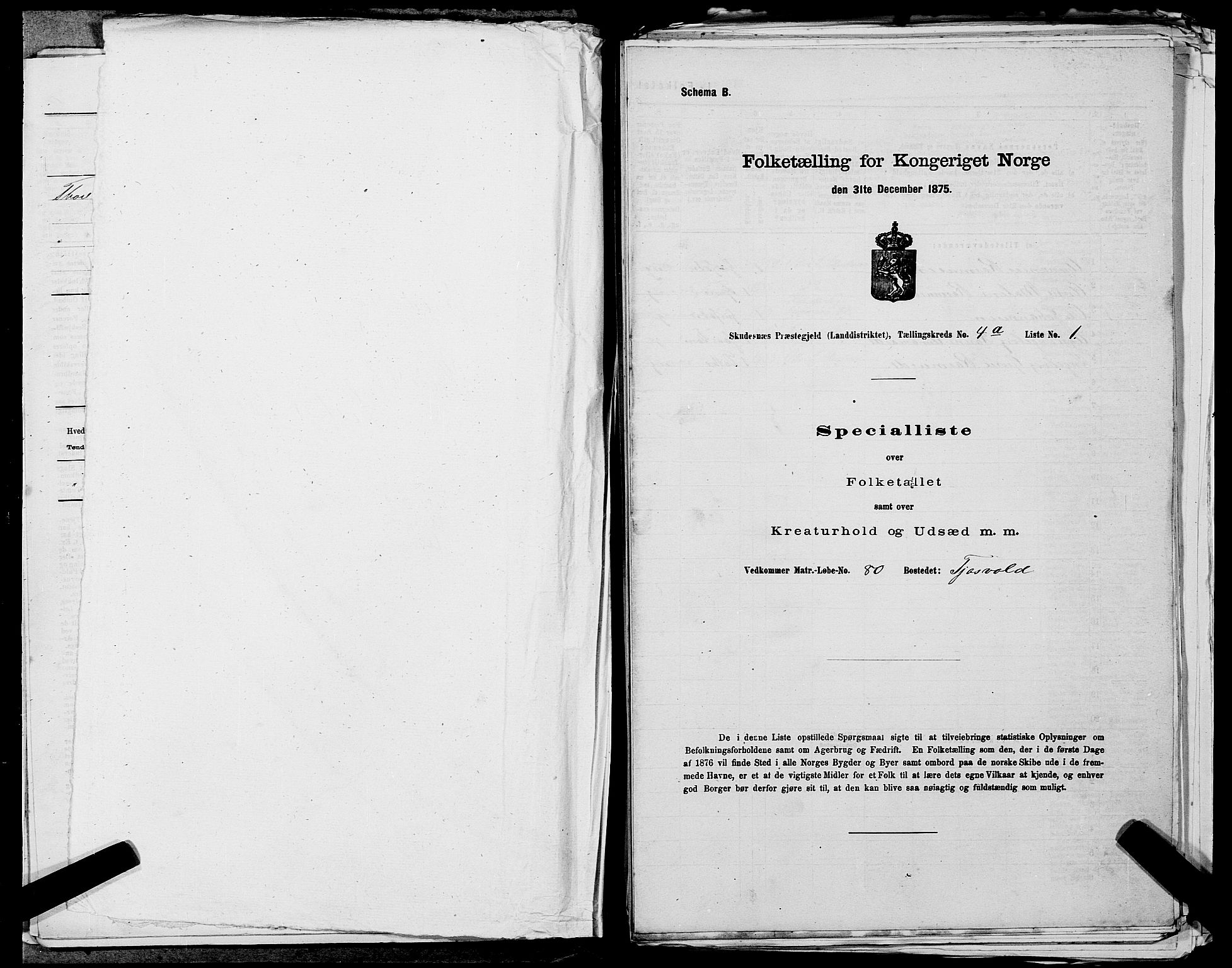 SAST, Folketelling 1875 for 1150L Skudenes prestegjeld, Falnes sokn, Åkra sokn og Ferkingstad sokn, 1875, s. 358