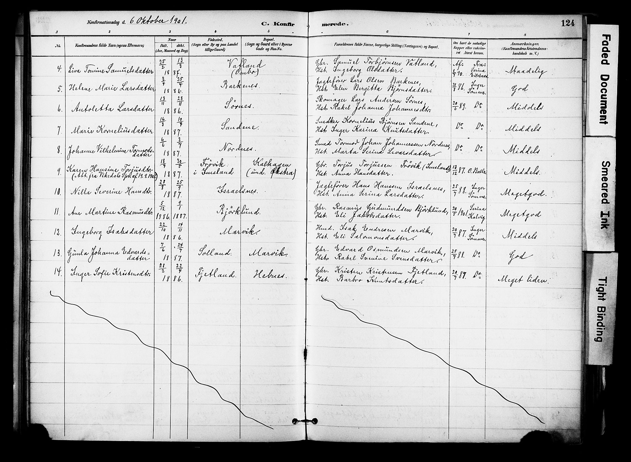 Jelsa sokneprestkontor, AV/SAST-A-101842/01/IV: Ministerialbok nr. A 10, 1884-1906, s. 124