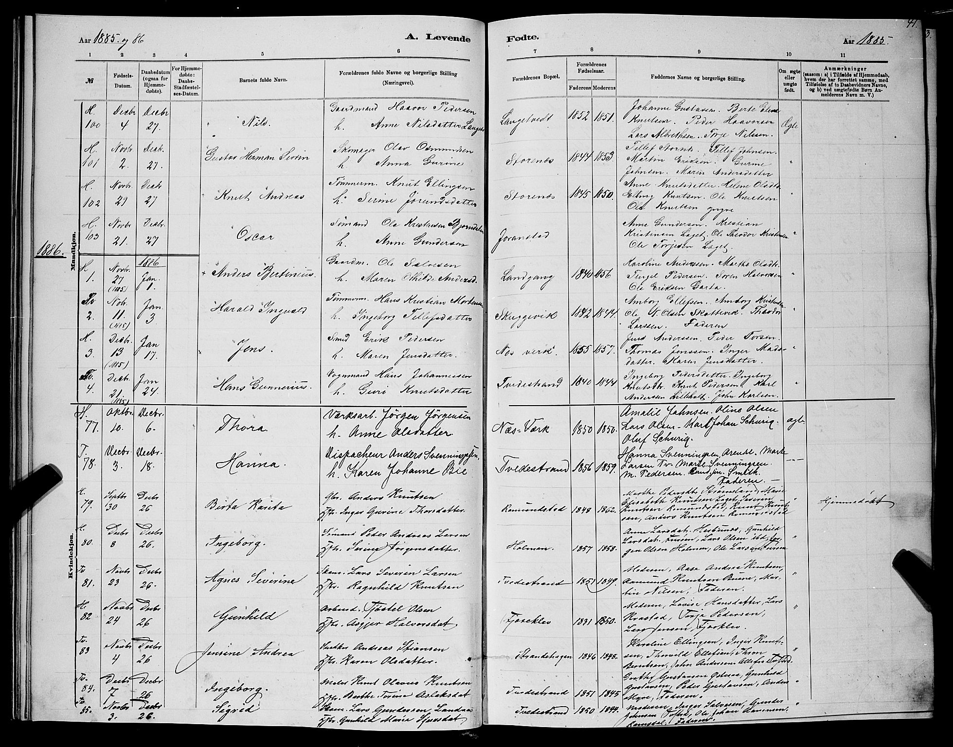 Holt sokneprestkontor, AV/SAK-1111-0021/F/Fb/L0010: Klokkerbok nr. B 10, 1883-1896, s. 41