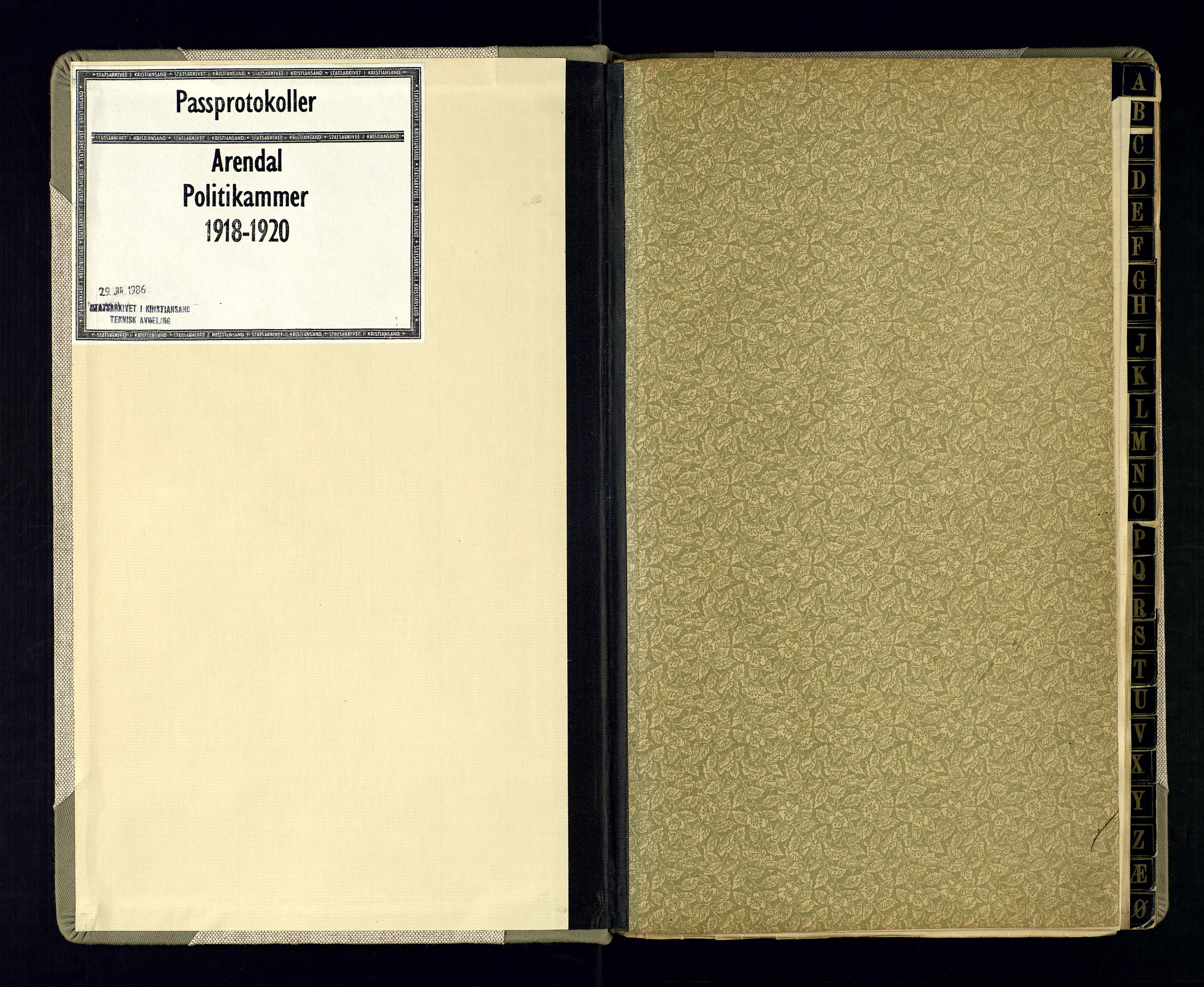 Arendal politikammer - 1, SAK/1243-0001/K/Ka/L0108: Passprotokoll, 1918-1920