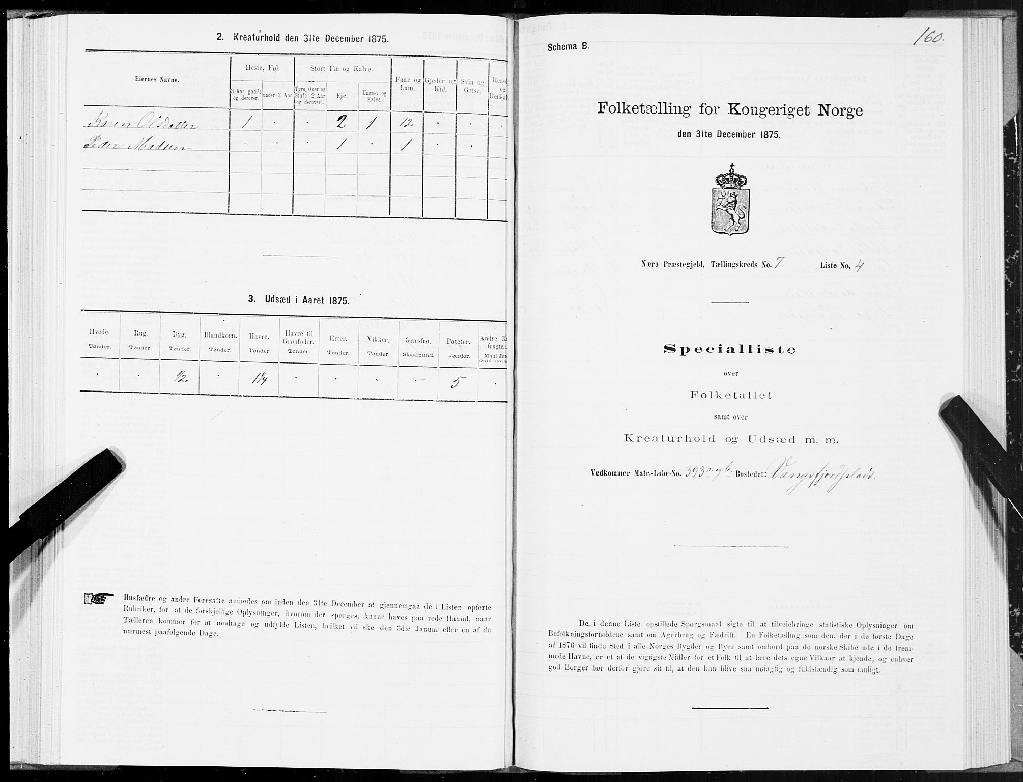 SAT, Folketelling 1875 for 1751P Nærøy prestegjeld, 1875, s. 3160