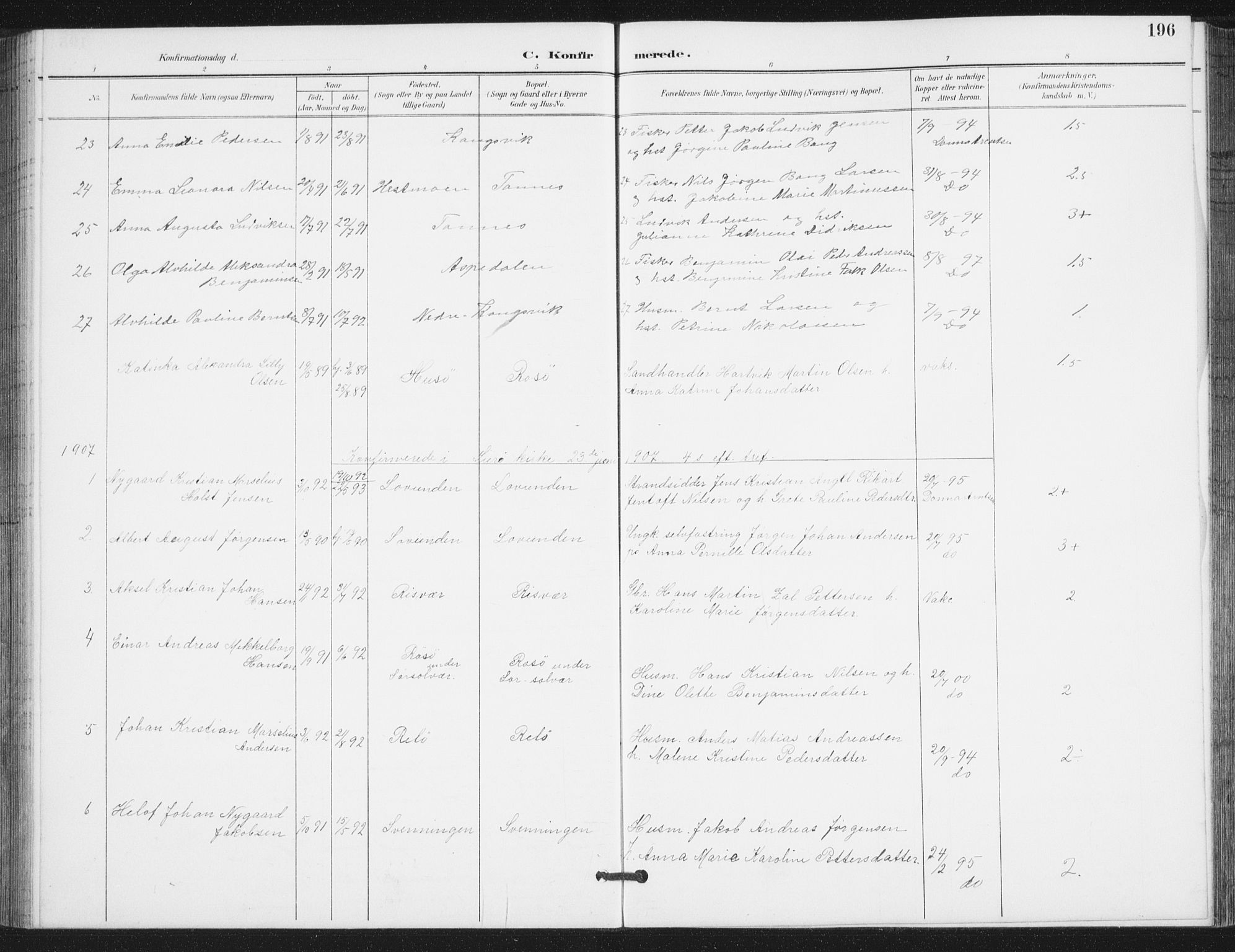 Ministerialprotokoller, klokkerbøker og fødselsregistre - Nordland, AV/SAT-A-1459/839/L0573: Klokkerbok nr. 839C03, 1892-1917, s. 196