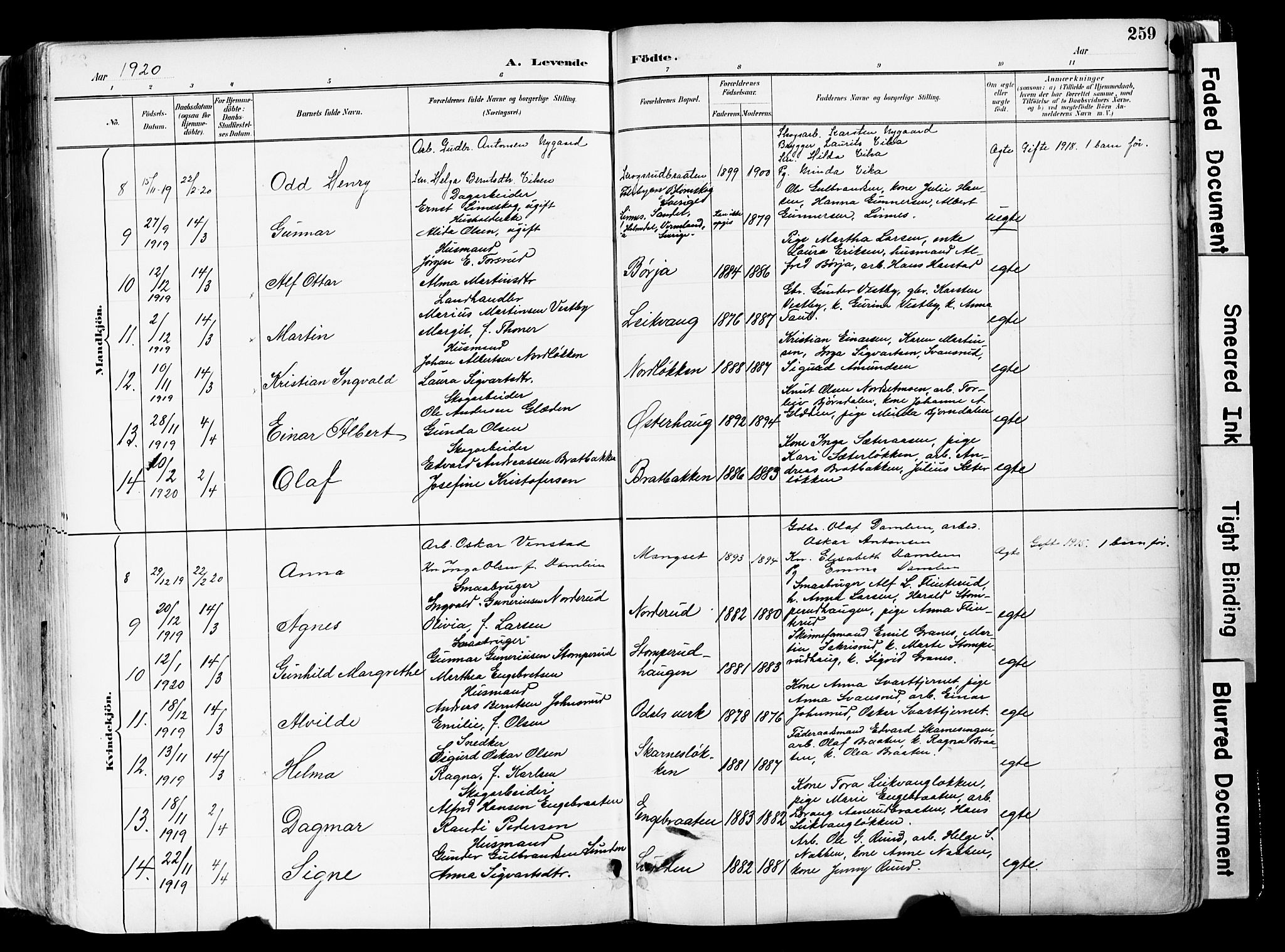 Sør-Odal prestekontor, SAH/PREST-030/H/Ha/Haa/L0006: Ministerialbok nr. 6, 1886-1931, s. 259