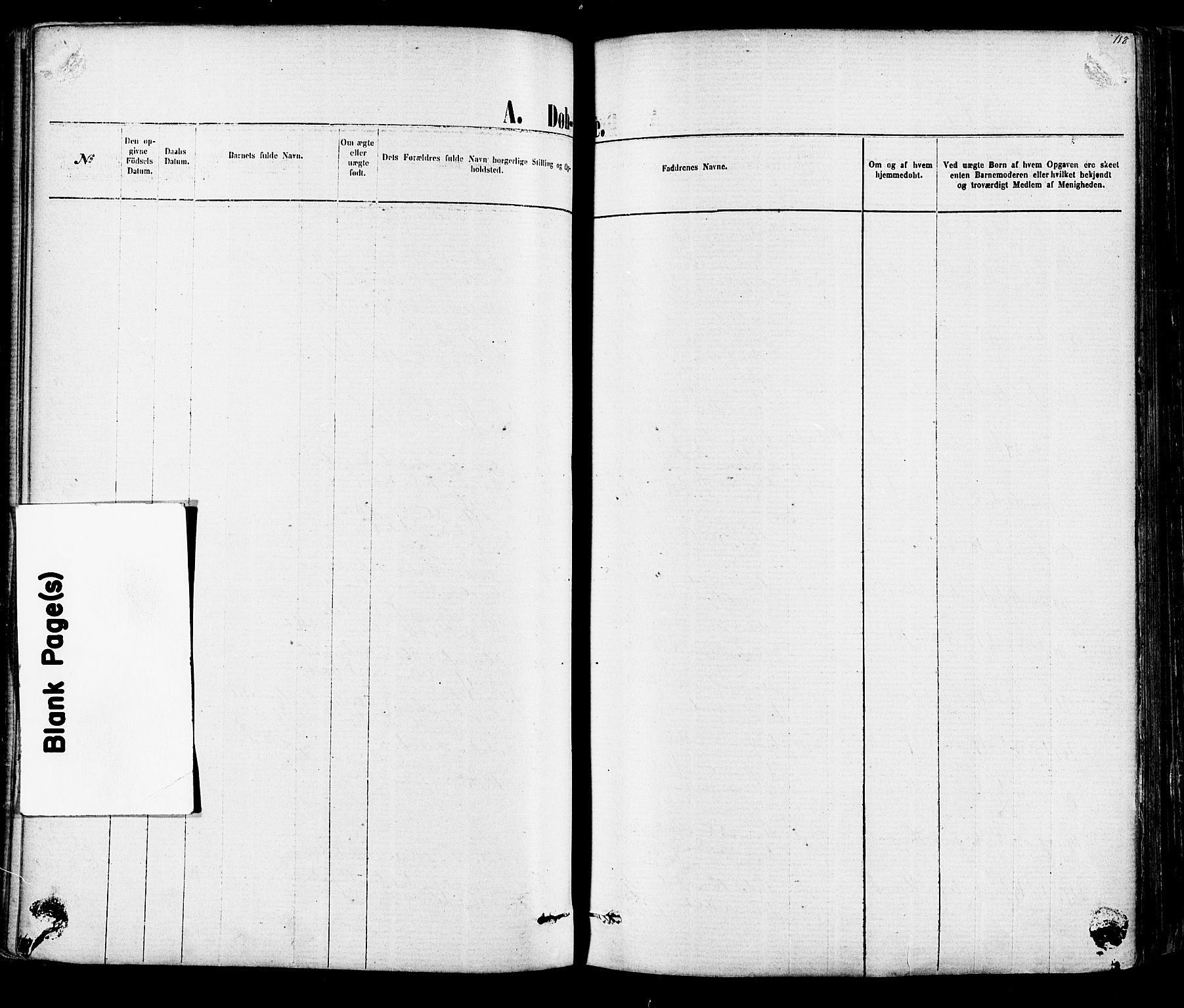 Fredrikstad domkirkes prestekontor Kirkebøker, SAO/A-10906/F/Fa/L0001: Ministerialbok nr. 1, 1871-1878, s. 117