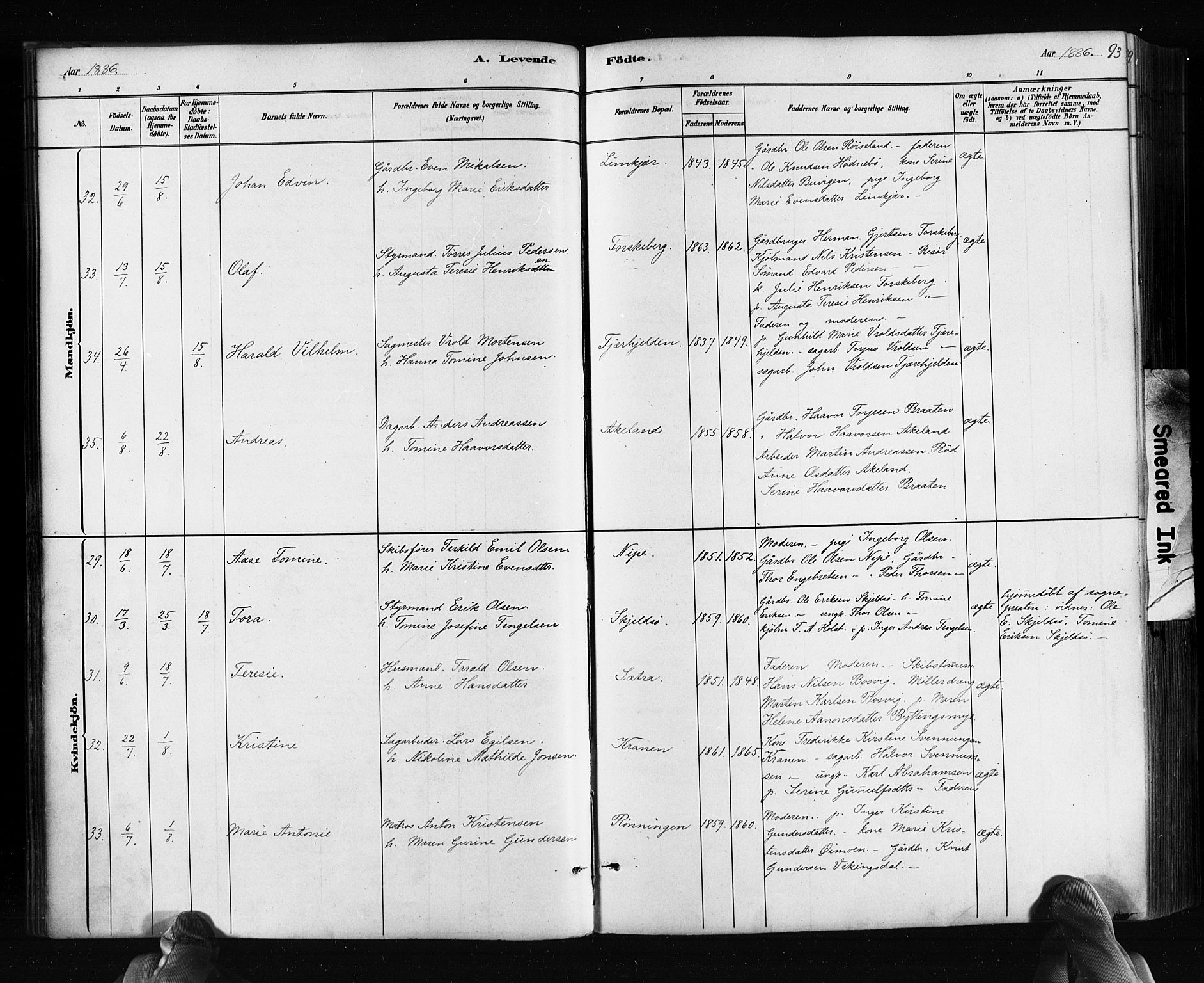 Søndeled sokneprestkontor, AV/SAK-1111-0038/F/Fa/L0004: Ministerialbok nr. A 4, 1880-1889, s. 93