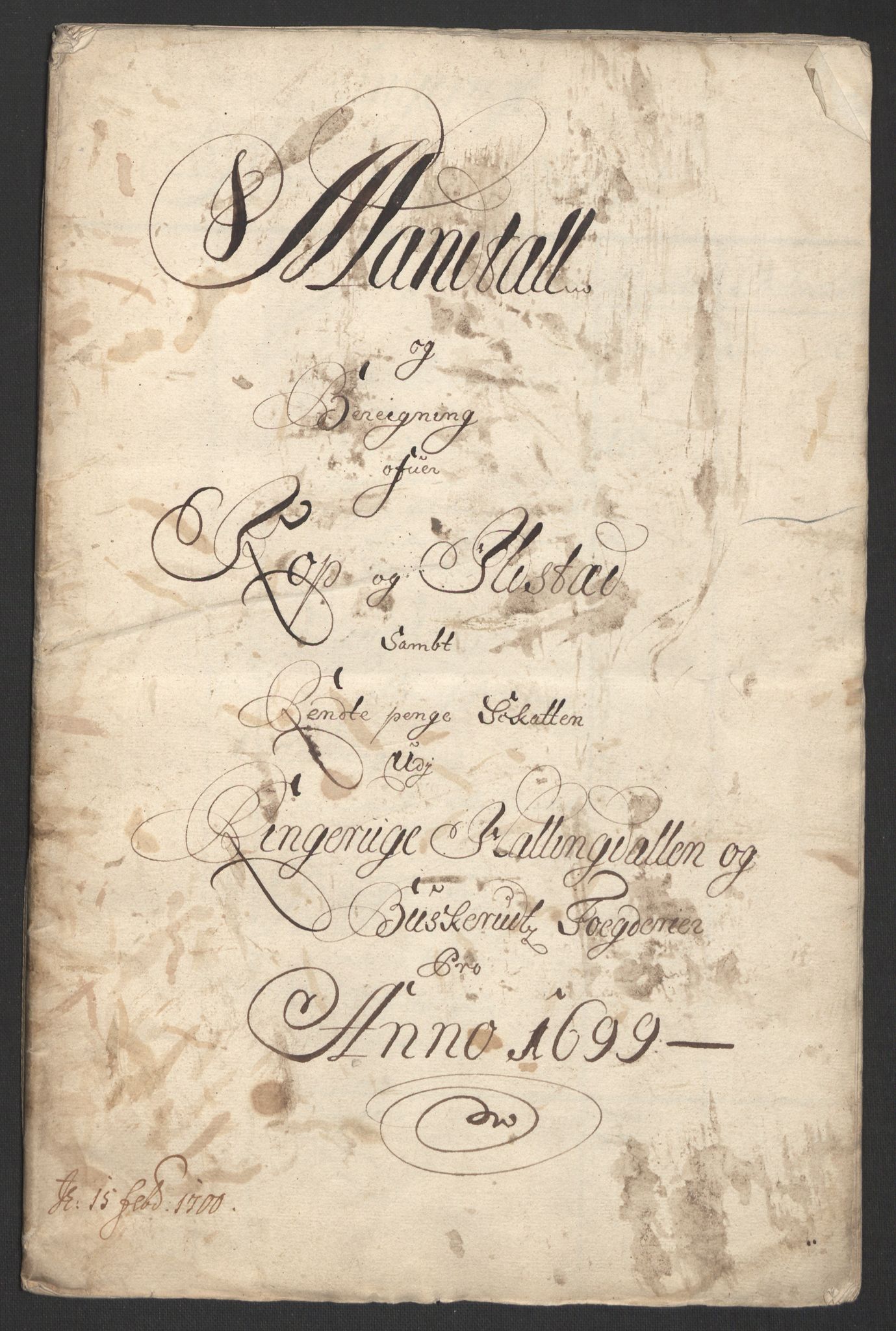 Rentekammeret inntil 1814, Reviderte regnskaper, Fogderegnskap, RA/EA-4092/R22/L1456: Fogderegnskap Ringerike, Hallingdal og Buskerud, 1699, s. 346