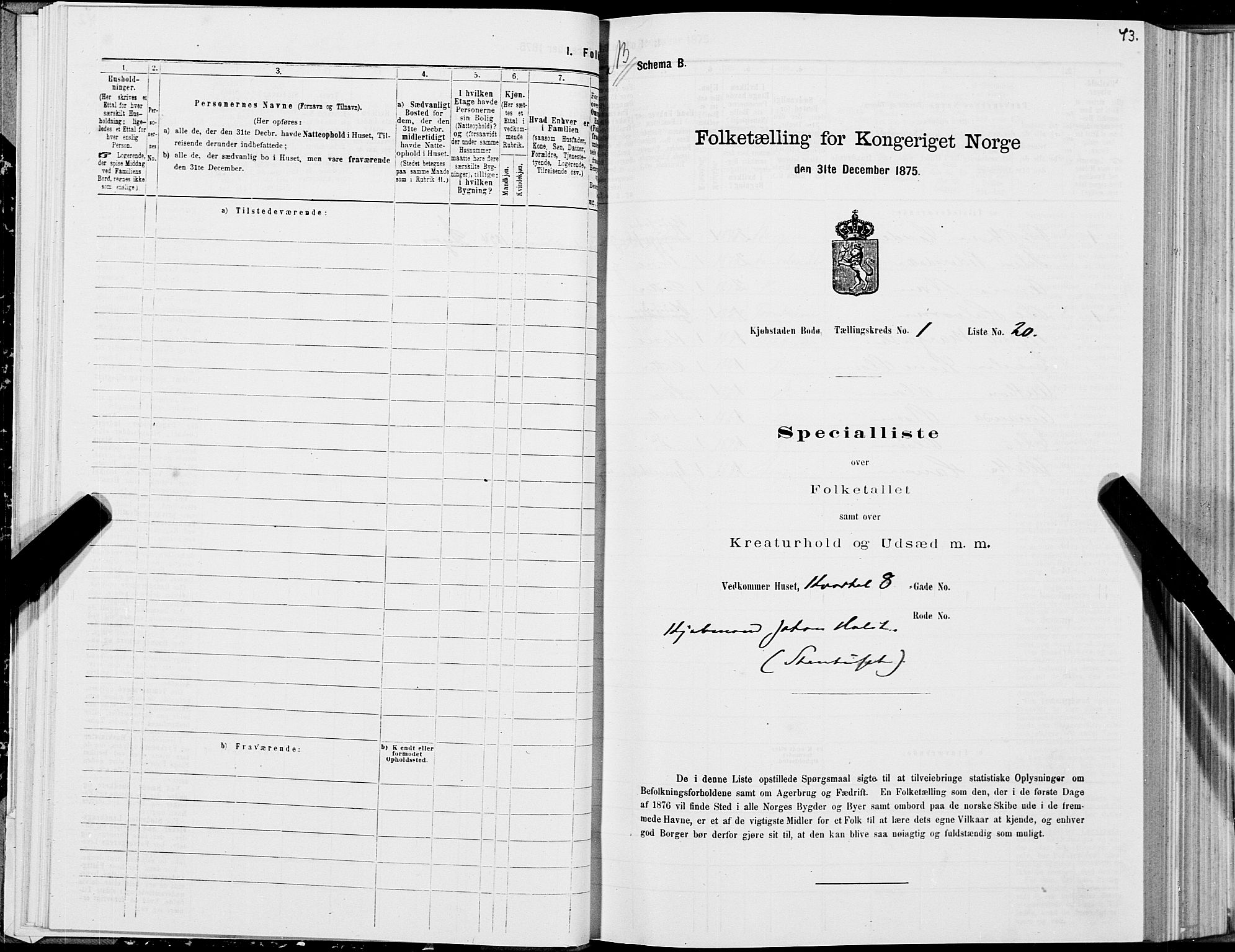 SAT, Folketelling 1875 for 1804B Bodø prestegjeld, Bodø kjøpstad, 1875, s. 43