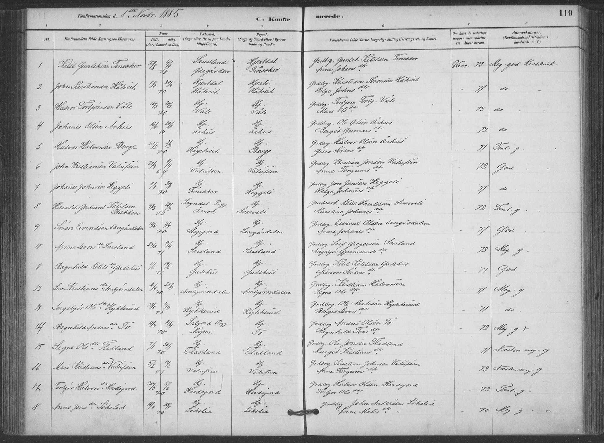 Hjartdal kirkebøker, AV/SAKO-A-270/F/Fa/L0010: Ministerialbok nr. I 10, 1880-1929, s. 119