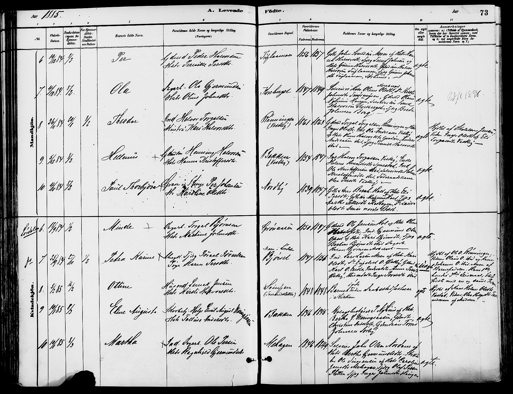 Trysil prestekontor, SAH/PREST-046/H/Ha/Haa/L0008: Ministerialbok nr. 8, 1881-1897, s. 73