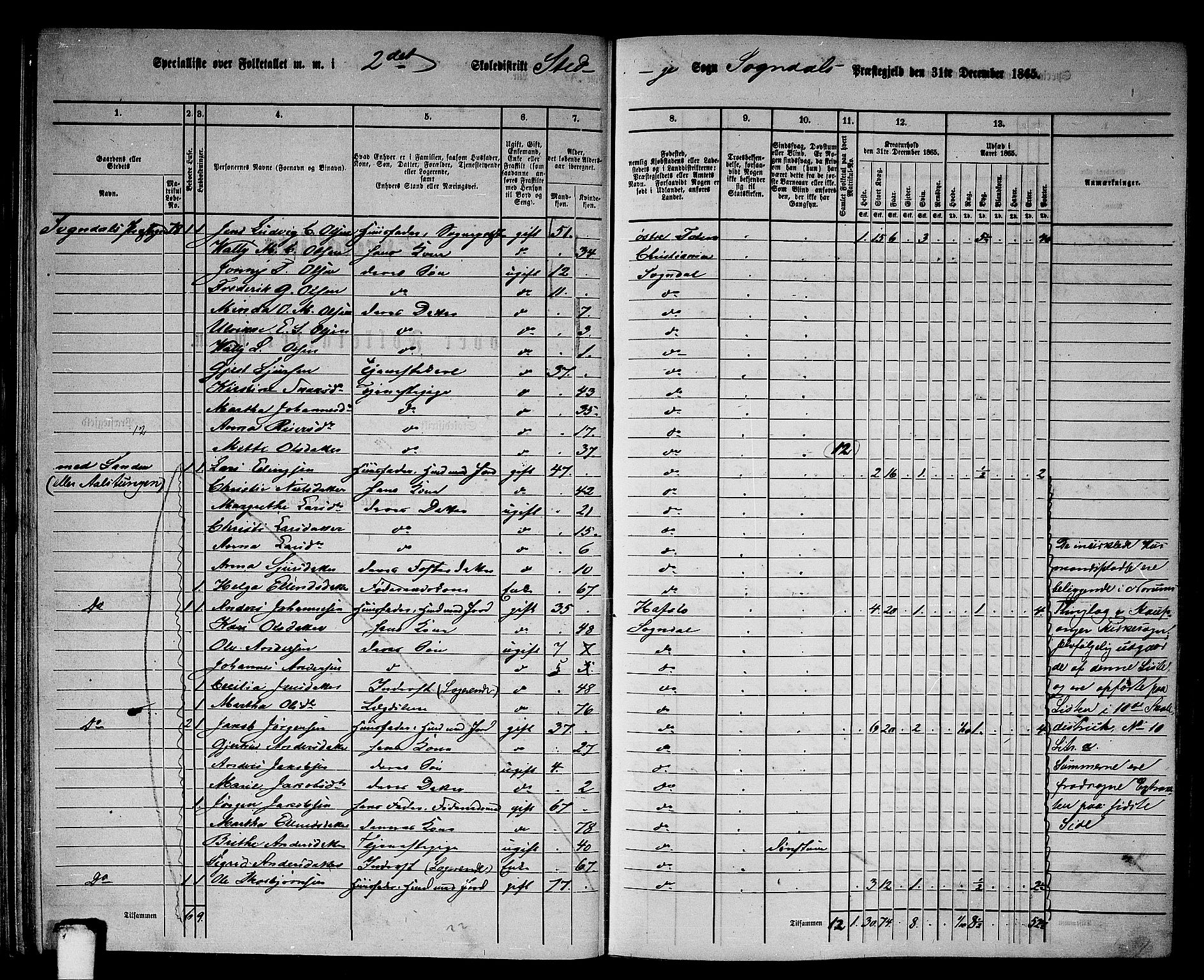 RA, Folketelling 1865 for 1420P Sogndal prestegjeld, 1865, s. 44