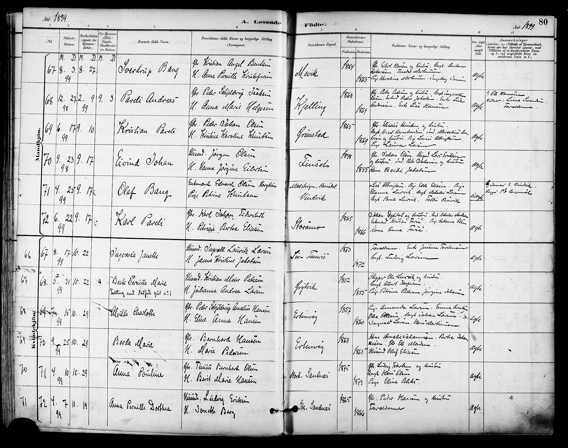 Ministerialprotokoller, klokkerbøker og fødselsregistre - Nordland, AV/SAT-A-1459/805/L0101: Ministerialbok nr. 805A07, 1892-1899, s. 80