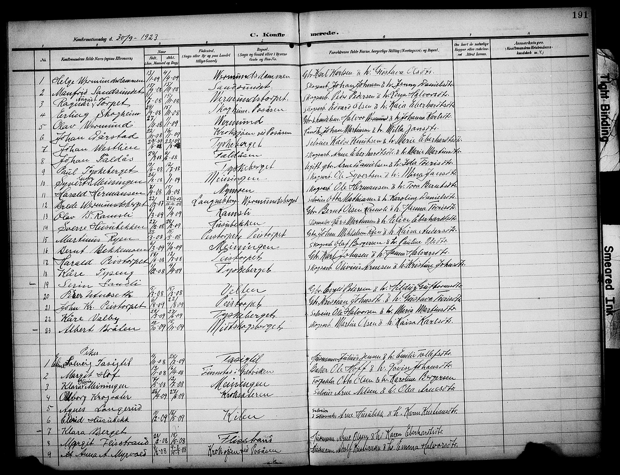 Åsnes prestekontor, AV/SAH-PREST-042/H/Ha/Hab/L0006: Klokkerbok nr. 6, 1903-1929, s. 191