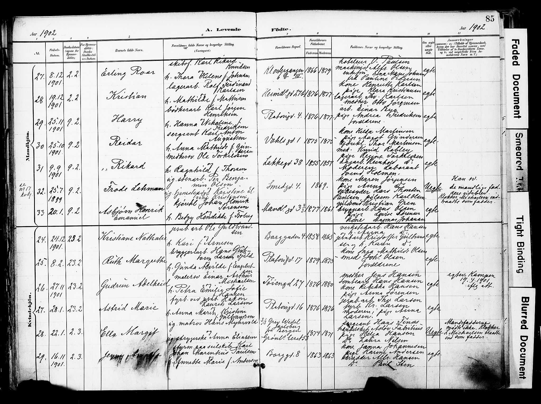 Grønland prestekontor Kirkebøker, AV/SAO-A-10848/F/Fa/L0014: Ministerialbok nr. 14, 1900-1911, s. 85