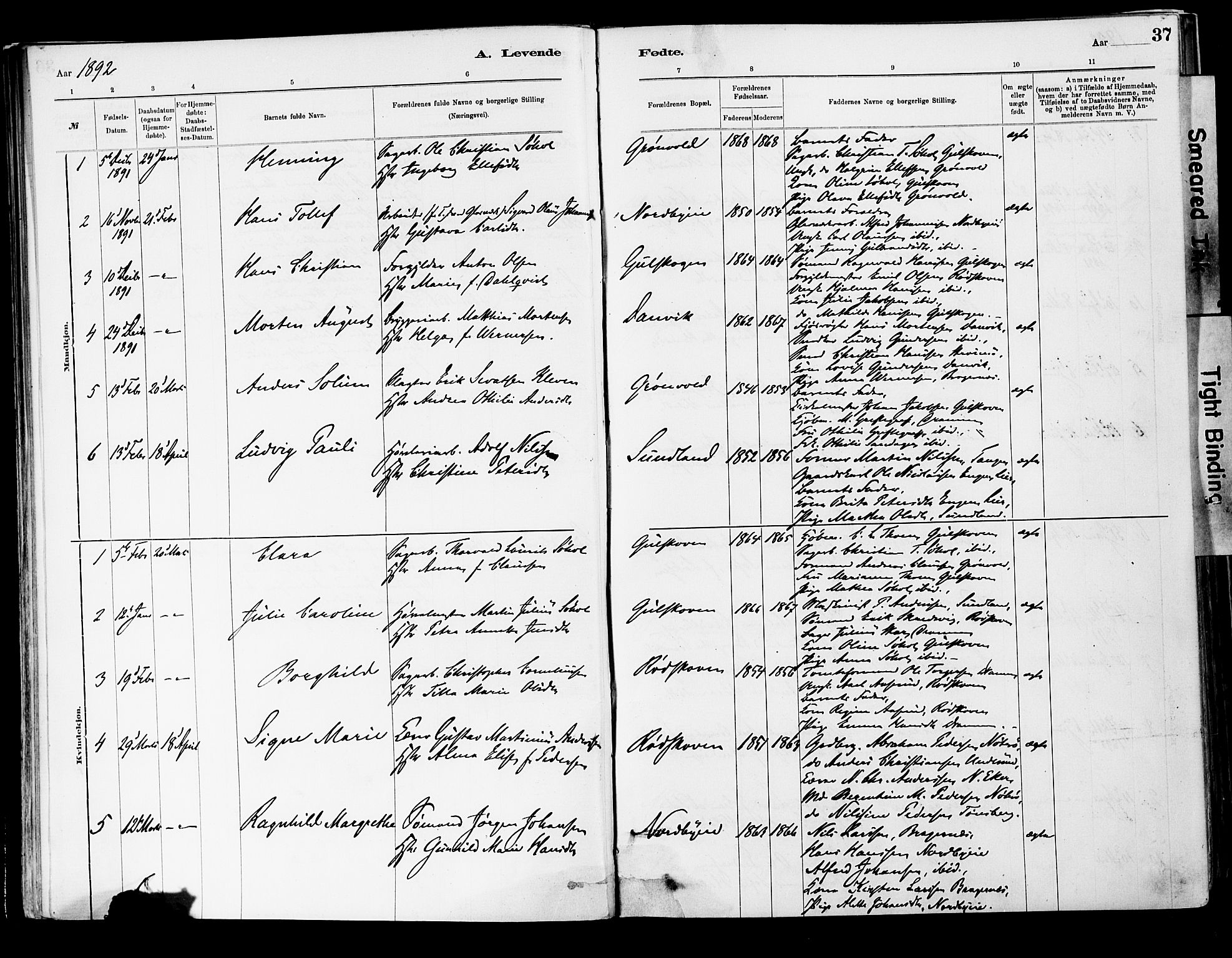Strømsgodset kirkebøker, AV/SAKO-A-324/F/Fa/L0001: Ministerialbok nr. 1, 1885-1909, s. 37