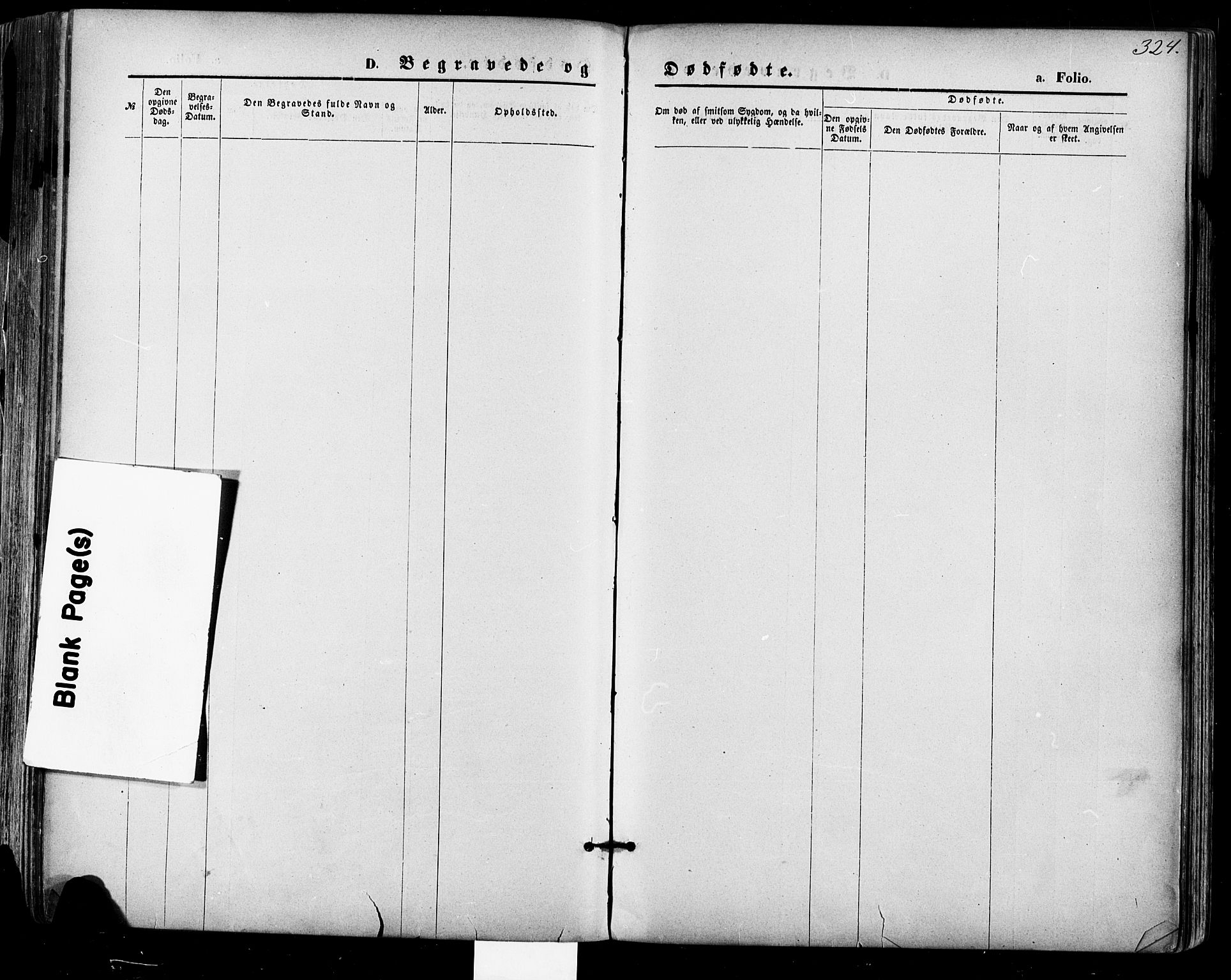 Bygland sokneprestkontor, SAK/1111-0006/F/Fa/Fab/L0006: Ministerialbok nr. A 6, 1873-1884, s. 324