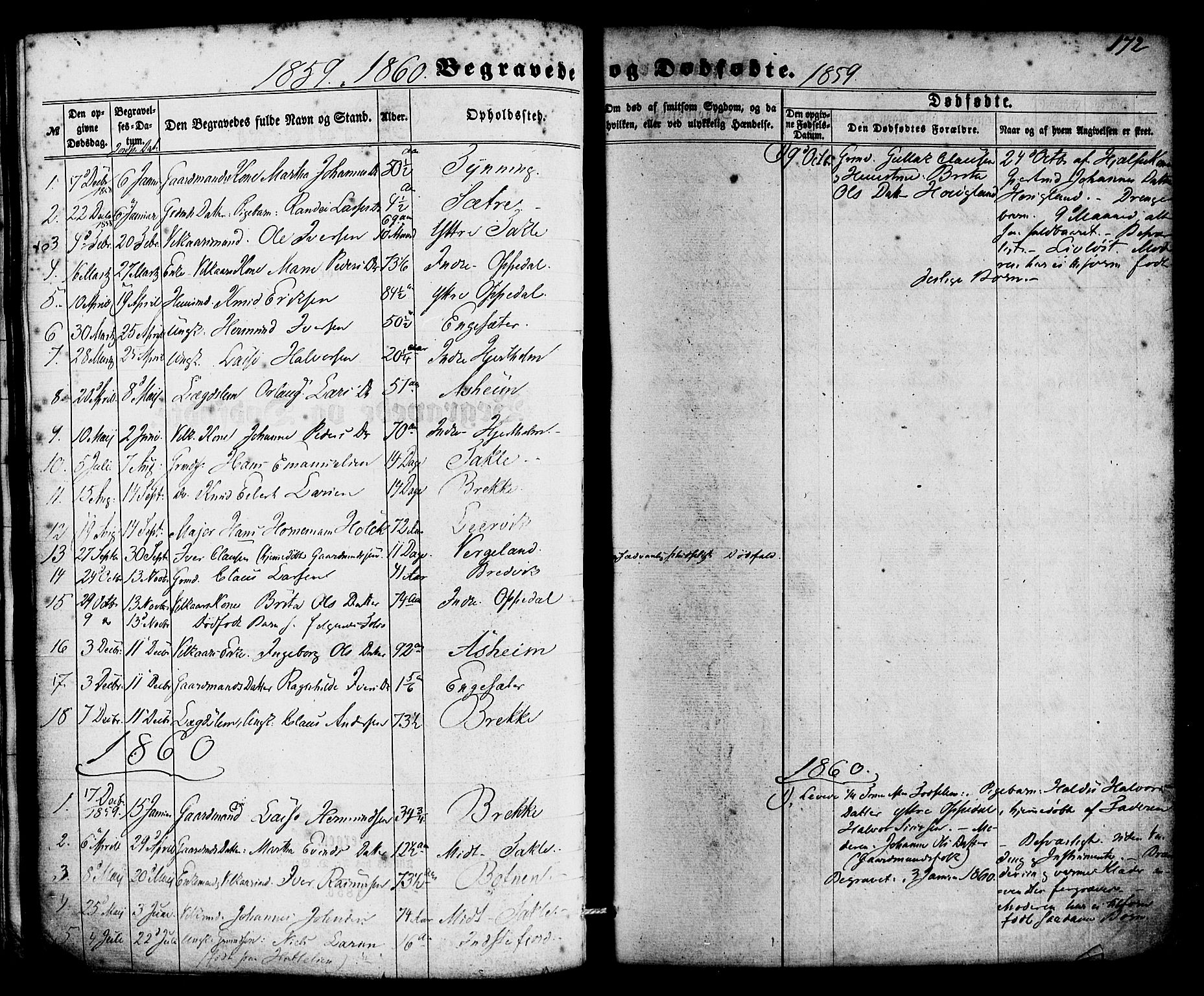Gulen sokneprestembete, AV/SAB-A-80201/H/Haa/Haac/L0001: Ministerialbok nr. C 1, 1859-1881, s. 172