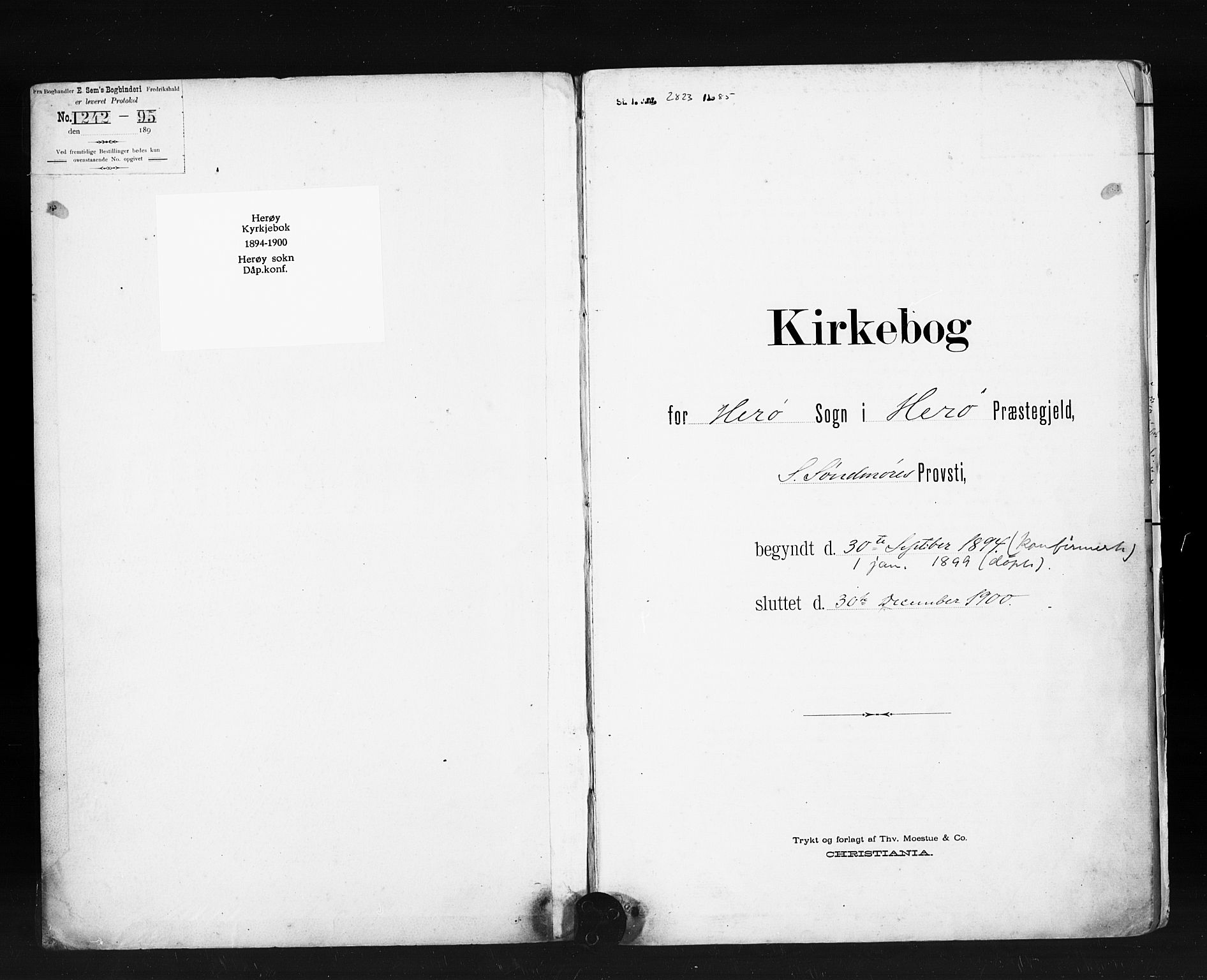 Ministerialprotokoller, klokkerbøker og fødselsregistre - Møre og Romsdal, AV/SAT-A-1454/507/L0074: Ministerialbok nr. 507A09, 1894-1900, s. 1