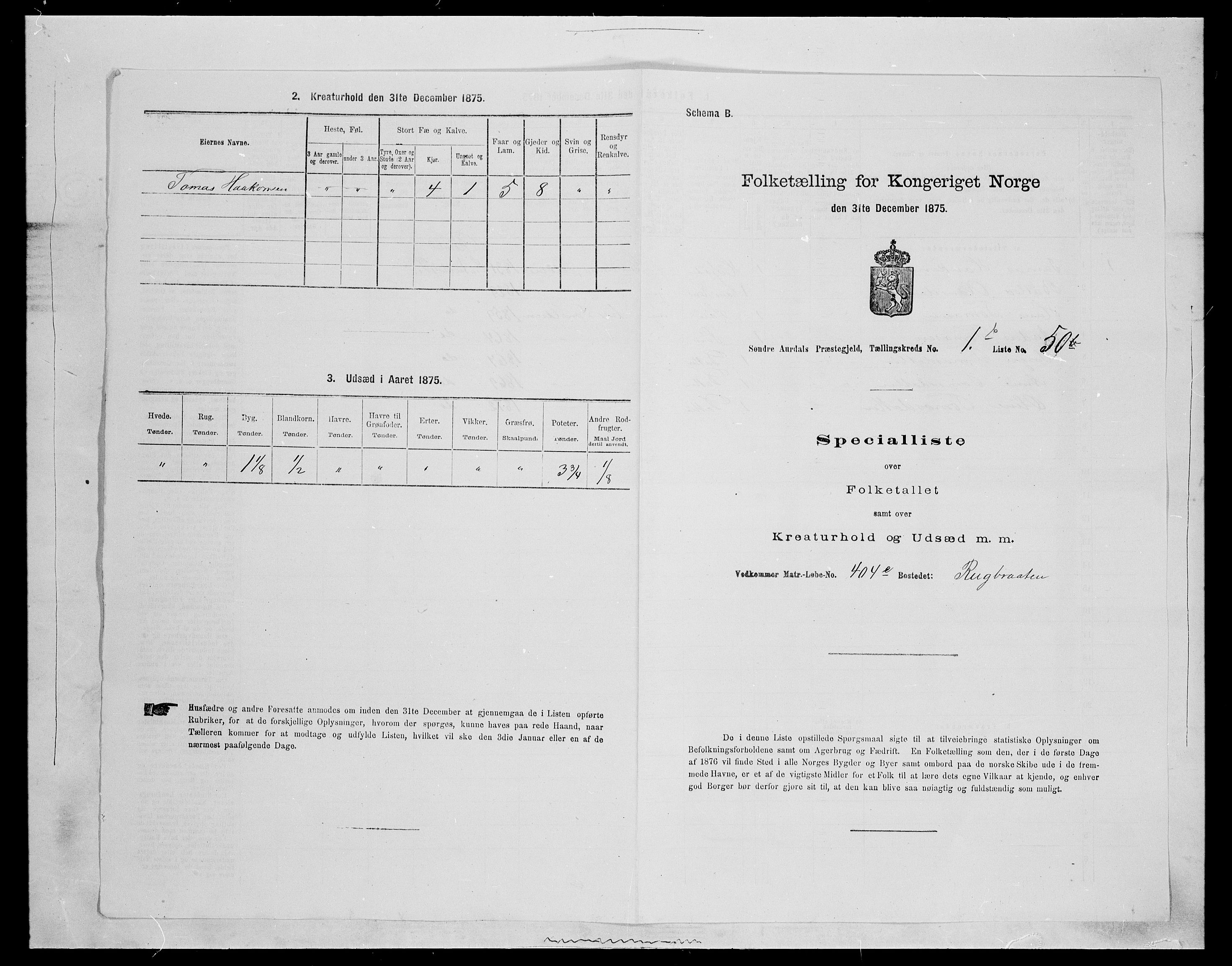 SAH, Folketelling 1875 for 0540P Sør-Aurdal prestegjeld, 1875, s. 405