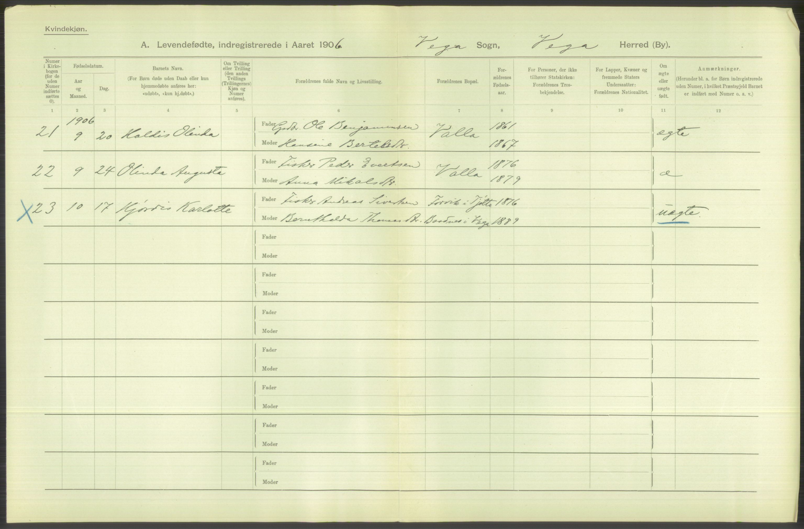 Statistisk sentralbyrå, Sosiodemografiske emner, Befolkning, AV/RA-S-2228/D/Df/Dfa/Dfad/L0043: Nordlands amt: Levendefødte menn og kvinner. Bygder., 1906, s. 16