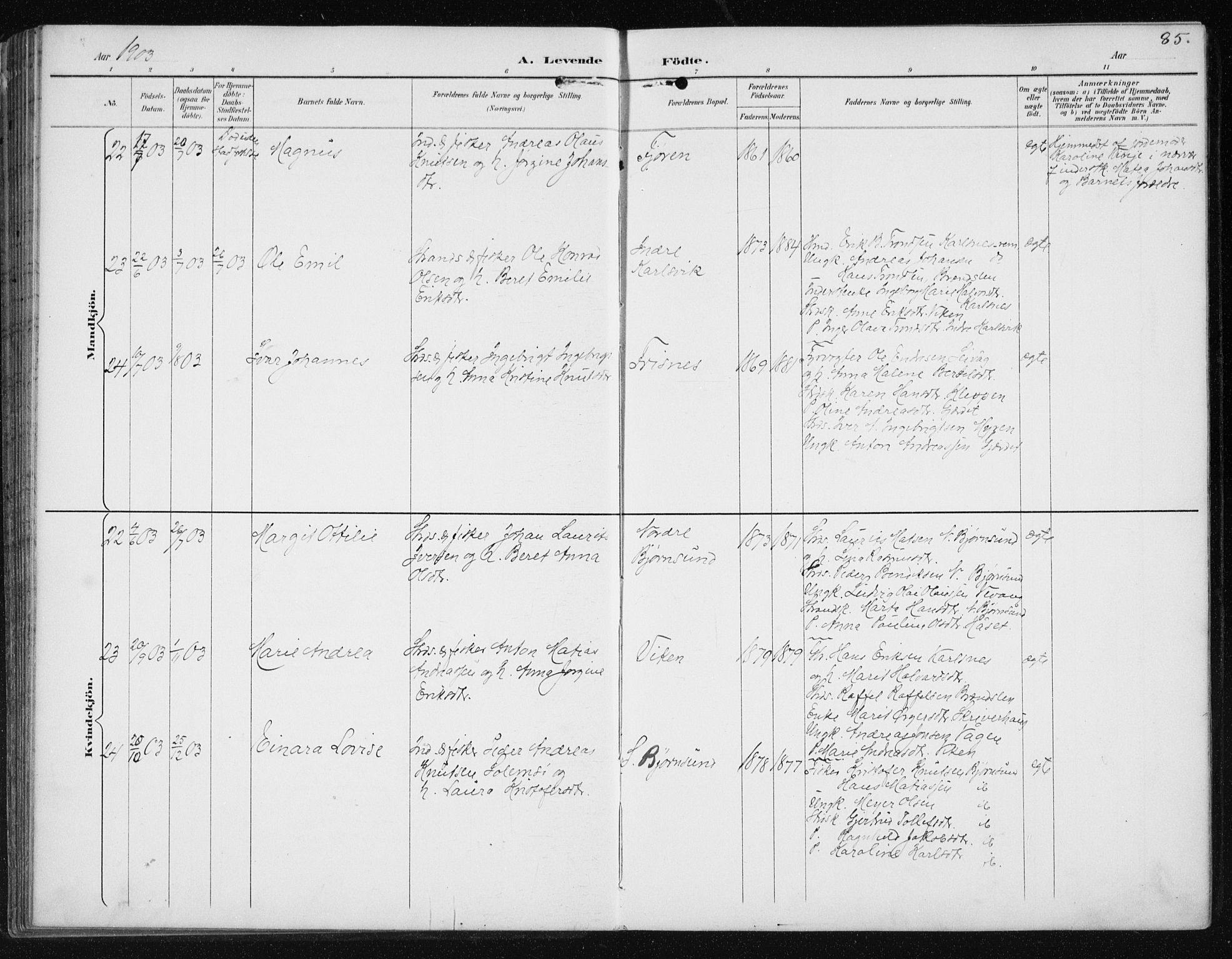 Ministerialprotokoller, klokkerbøker og fødselsregistre - Møre og Romsdal, AV/SAT-A-1454/566/L0773: Klokkerbok nr. 566C02, 1892-1909, s. 85