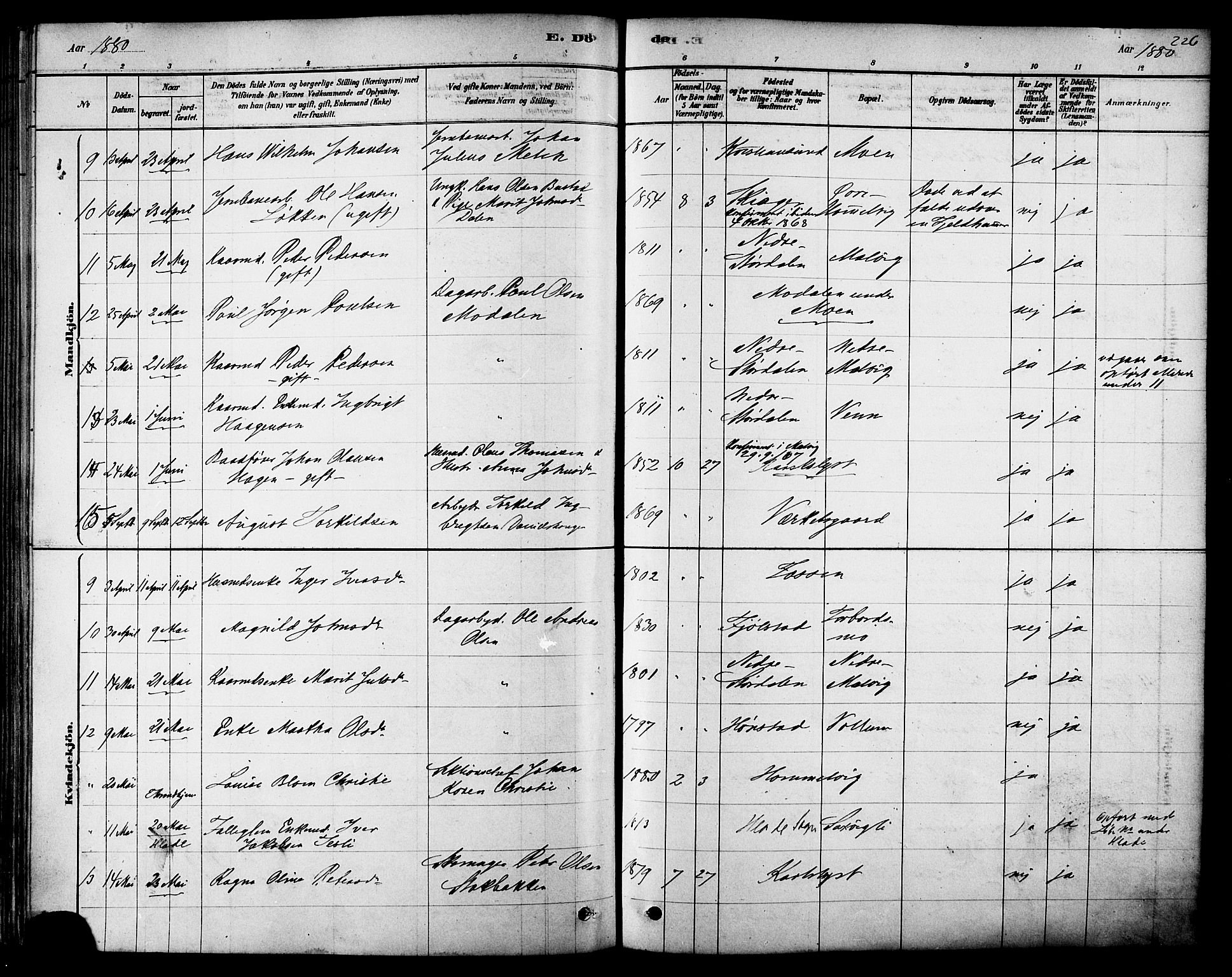 Ministerialprotokoller, klokkerbøker og fødselsregistre - Sør-Trøndelag, AV/SAT-A-1456/616/L0410: Ministerialbok nr. 616A07, 1878-1893, s. 226