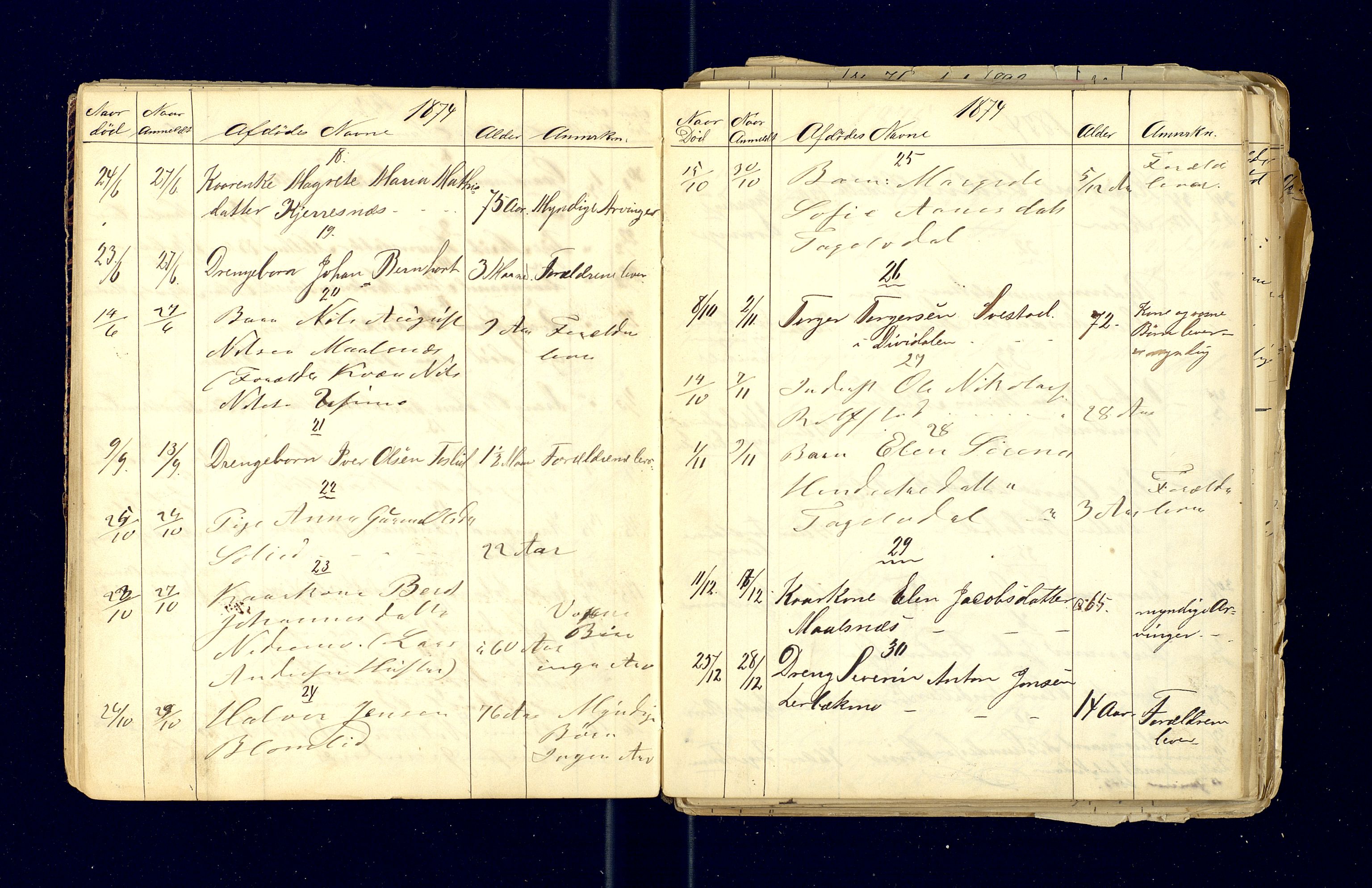 Målselv lensmannskontor, AV/SATØ-SATØ-68/F/Fi/Fia/L0167/0001: Dødsfallsprotokoller og dødsfallsmeldinger. / Dødsfallsprotokoller 1863-1972, 1863-1893