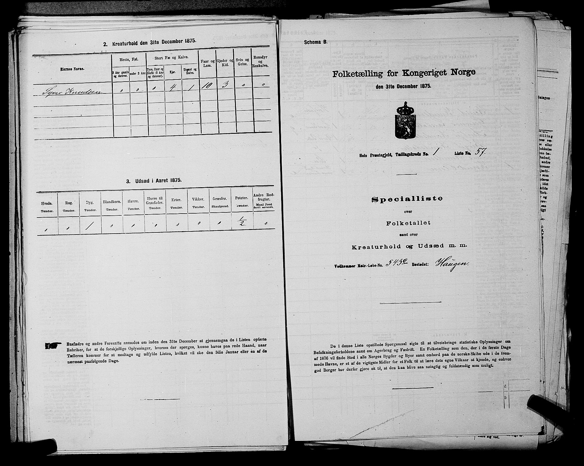 SAKO, Folketelling 1875 for 0620P Hol prestegjeld, 1875, s. 152