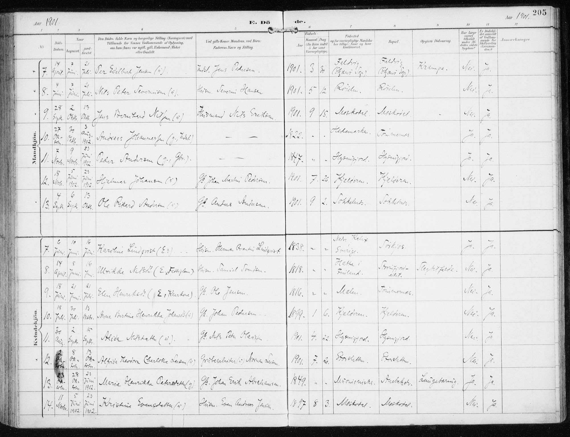 Skjervøy sokneprestkontor, AV/SATØ-S-1300/H/Ha/Haa/L0017kirke: Ministerialbok nr. 17, 1895-1911, s. 205
