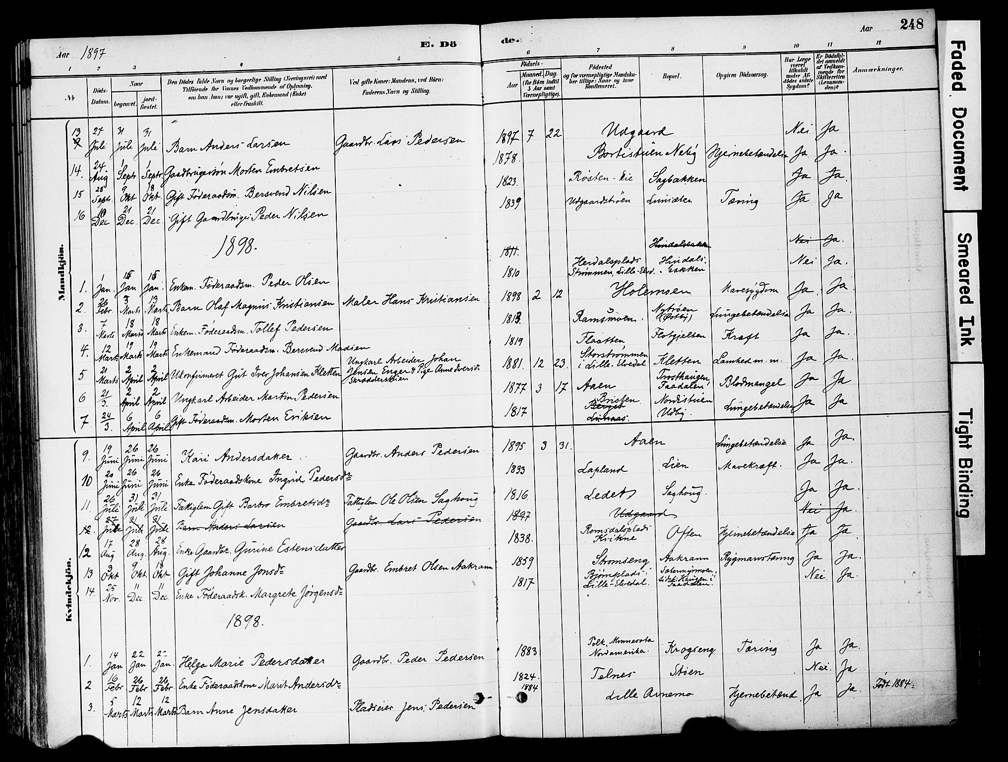 Tynset prestekontor, AV/SAH-PREST-058/H/Ha/Haa/L0022: Ministerialbok nr. 22, 1880-1899, s. 248