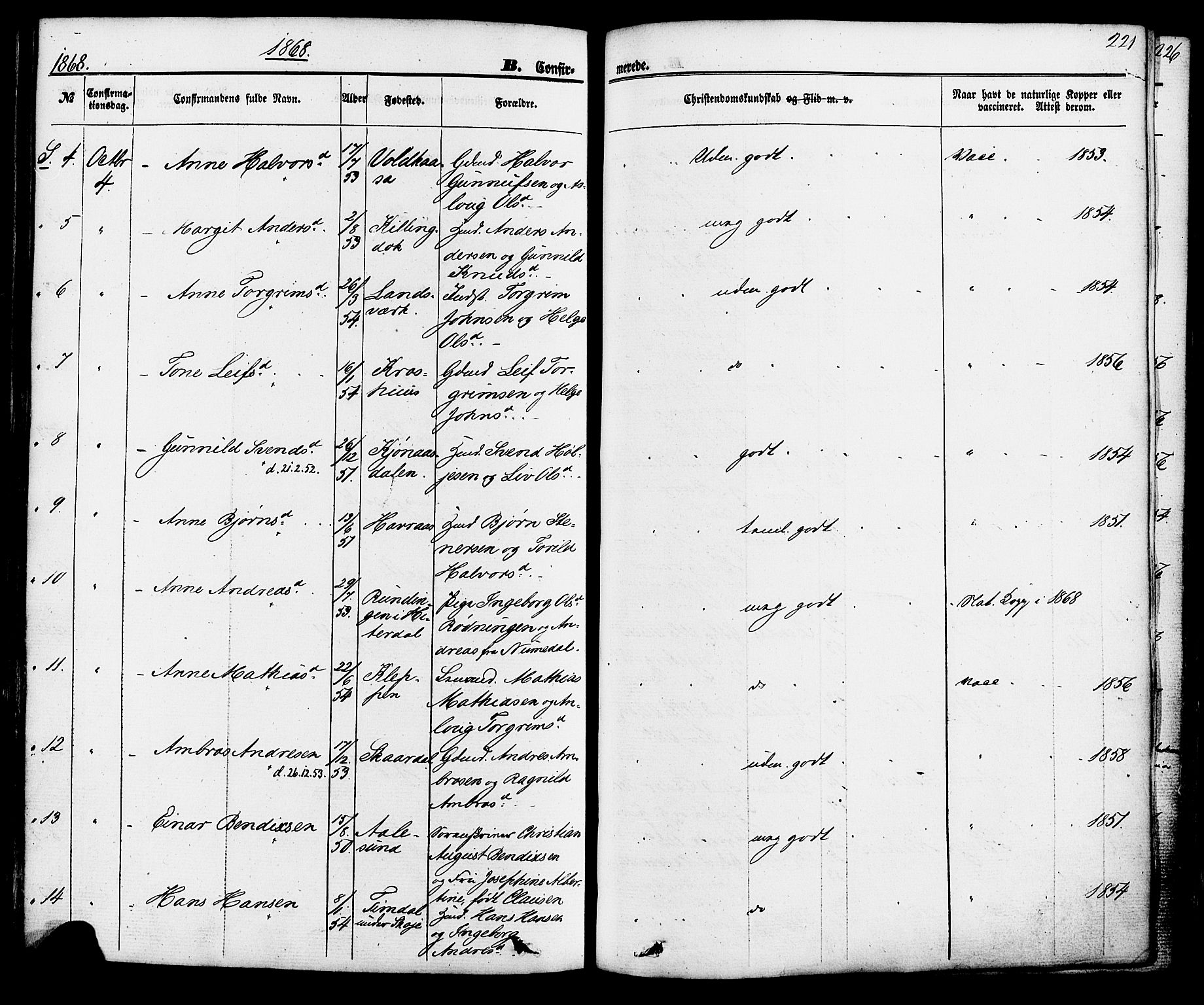 Hjartdal kirkebøker, SAKO/A-270/F/Fa/L0009: Ministerialbok nr. I 9, 1860-1879, s. 221