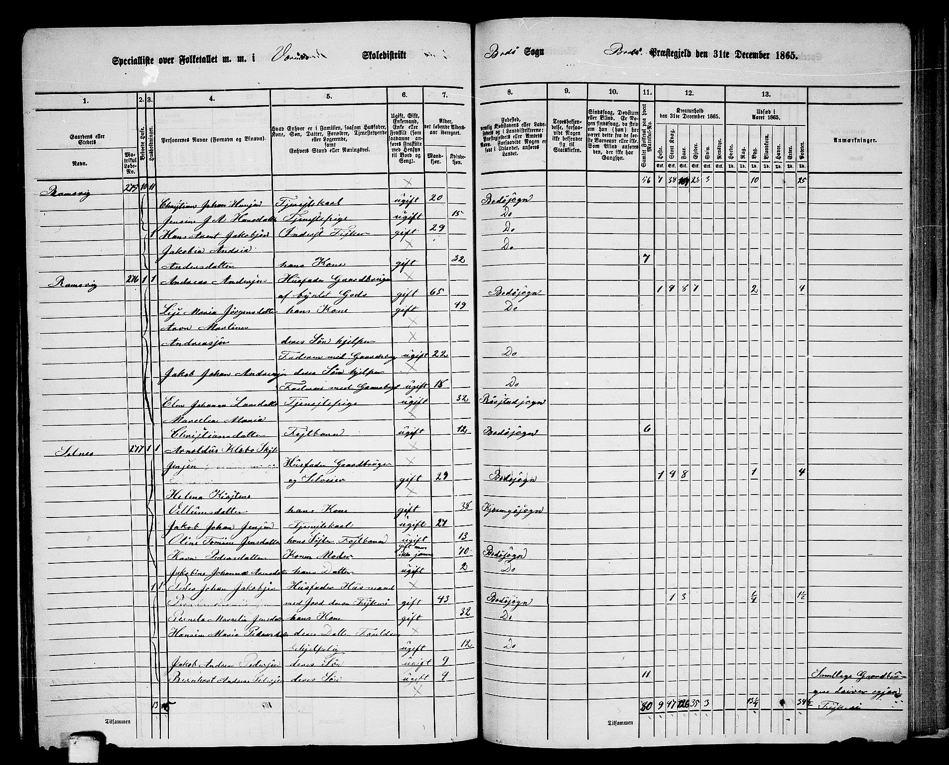 RA, Folketelling 1865 for 1843L Bodø prestegjeld, Bodø landsokn, 1865, s. 139