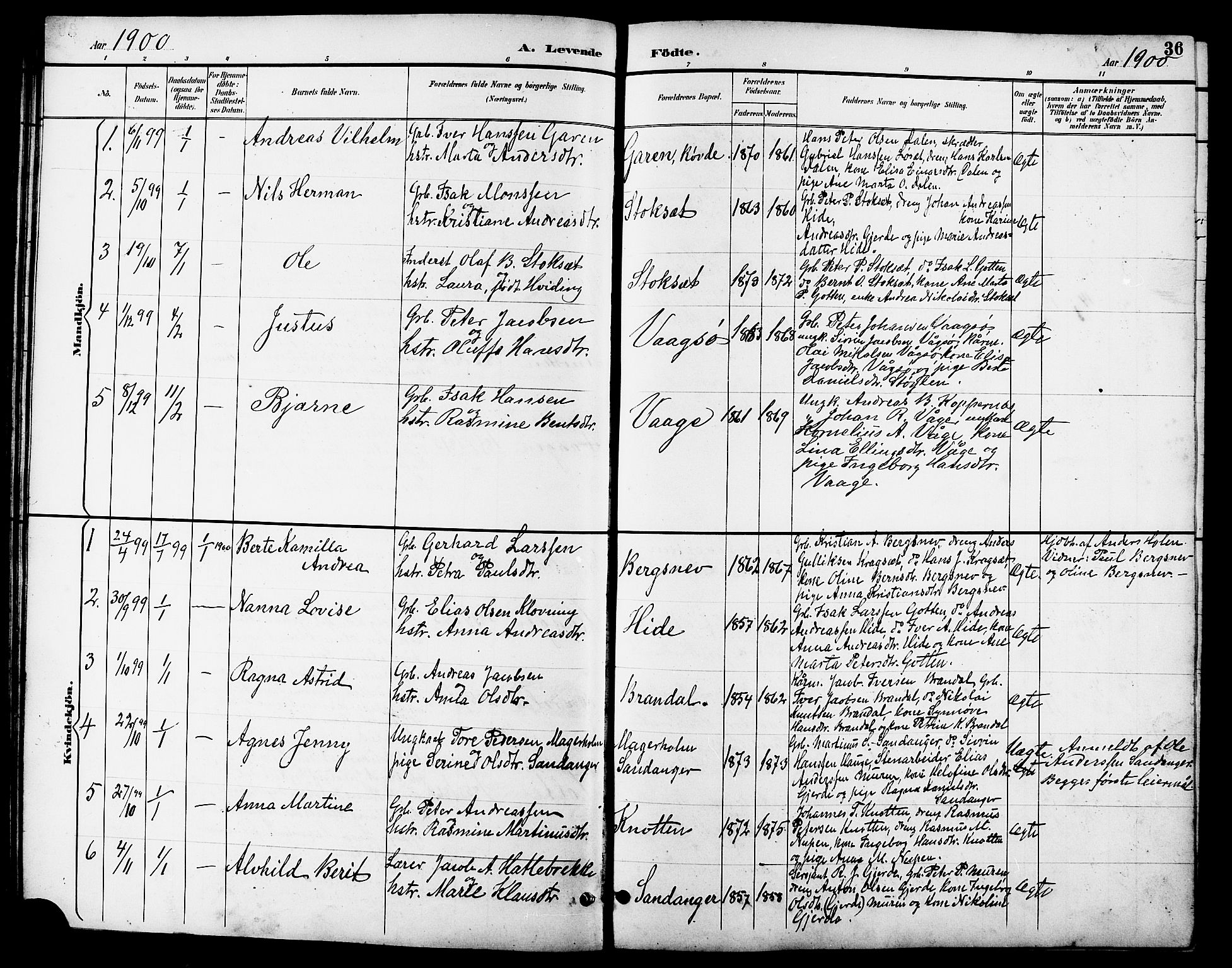 Ministerialprotokoller, klokkerbøker og fødselsregistre - Møre og Romsdal, AV/SAT-A-1454/503/L0049: Klokkerbok nr. 503C04, 1894-1915, s. 36