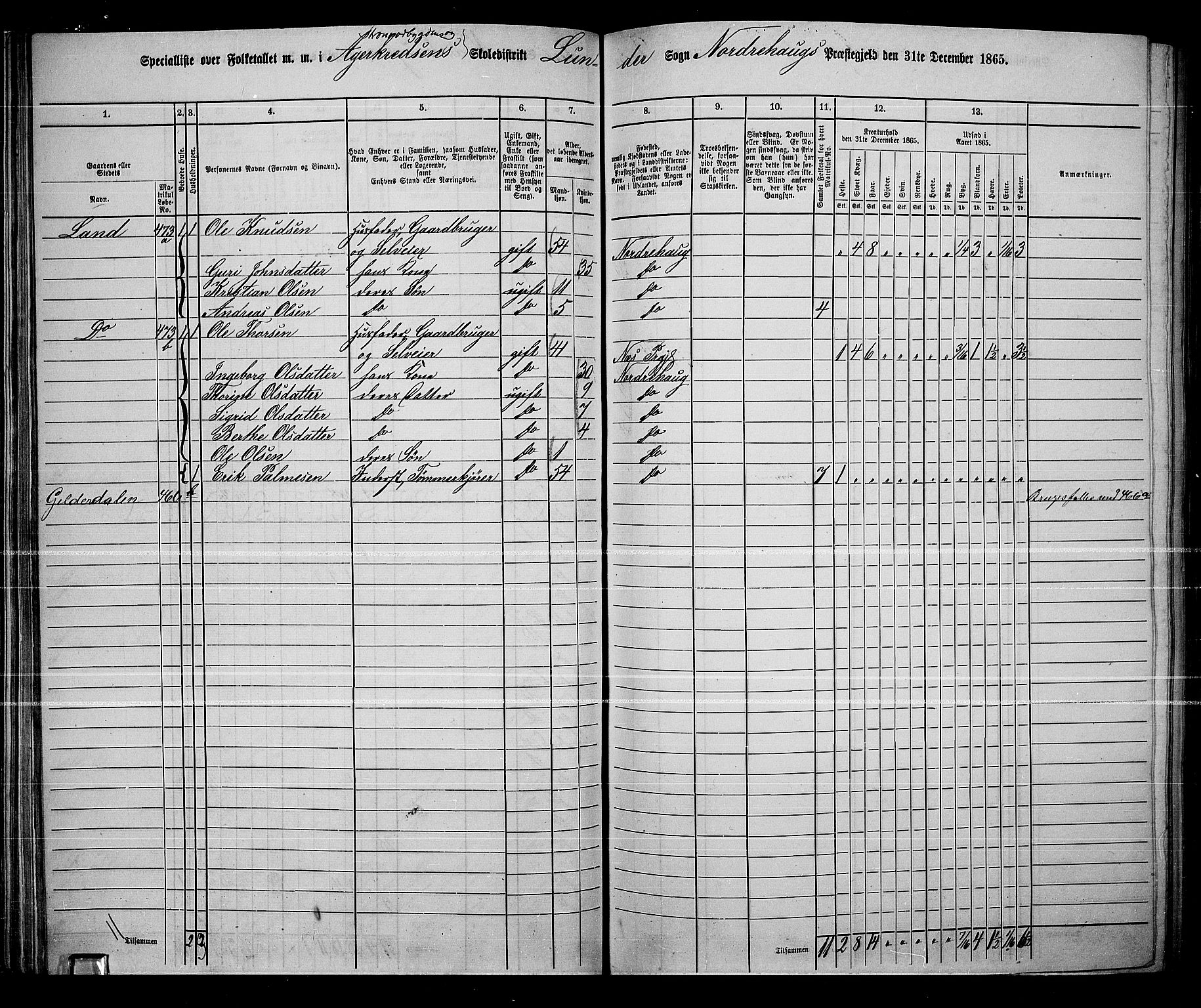 RA, Folketelling 1865 for 0613L Norderhov prestegjeld, Norderhov sokn, Haug sokn og Lunder sokn, 1865, s. 70