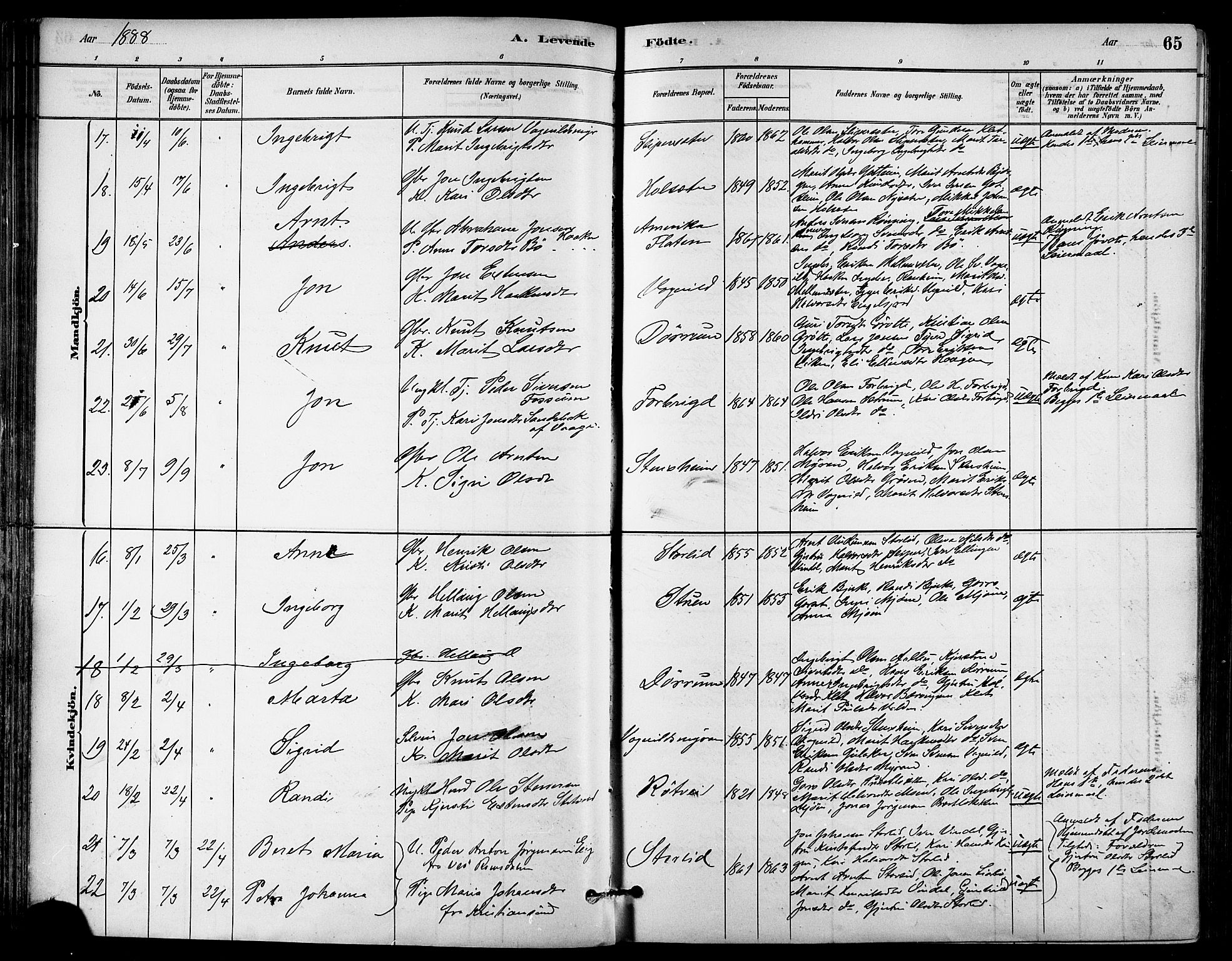 Ministerialprotokoller, klokkerbøker og fødselsregistre - Sør-Trøndelag, SAT/A-1456/678/L0901: Ministerialbok nr. 678A10, 1881-1894, s. 65