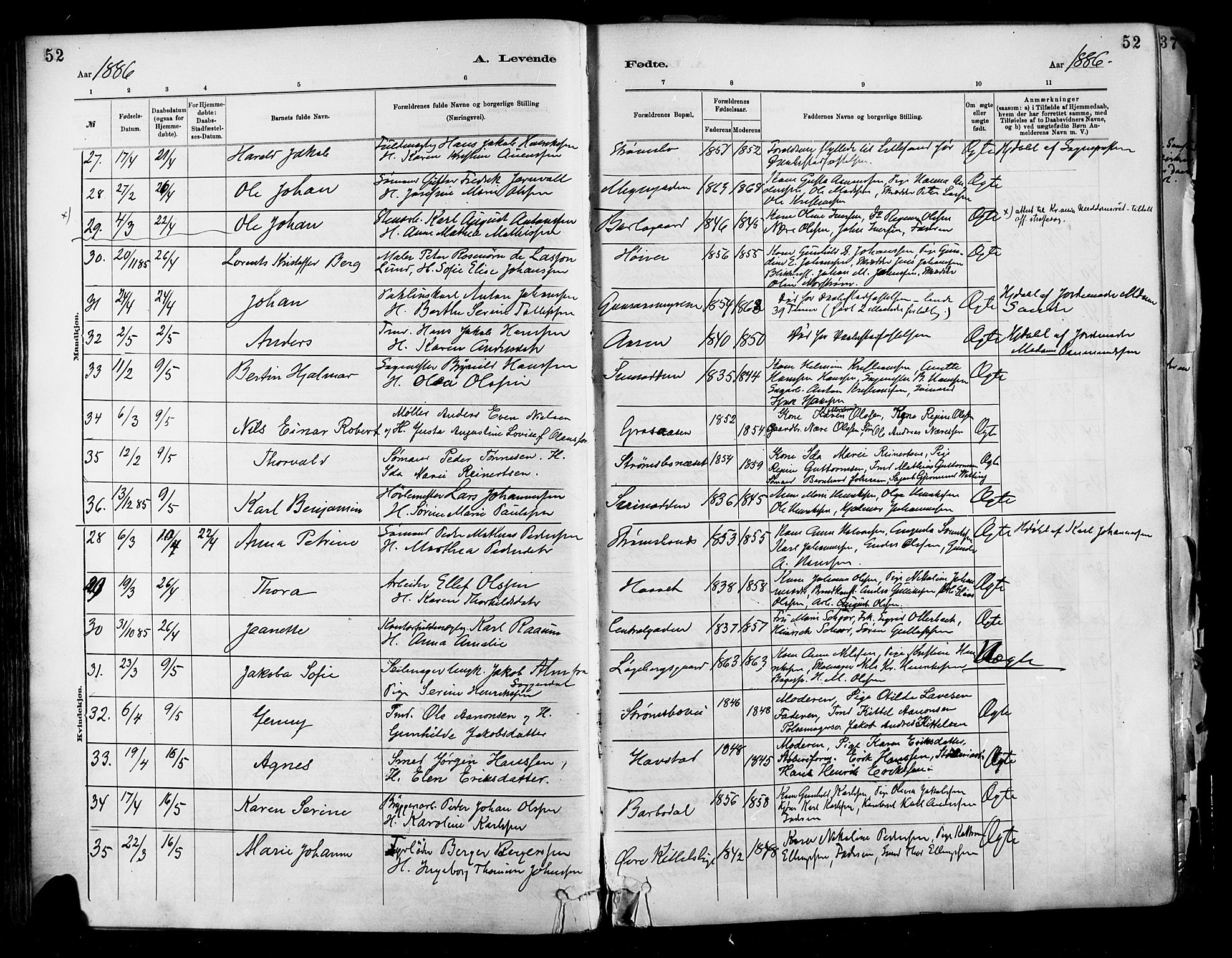 Barbu sokneprestkontor, AV/SAK-1111-0003/F/Fa/L0002: Ministerialbok nr. A 2, 1883-1898, s. 52