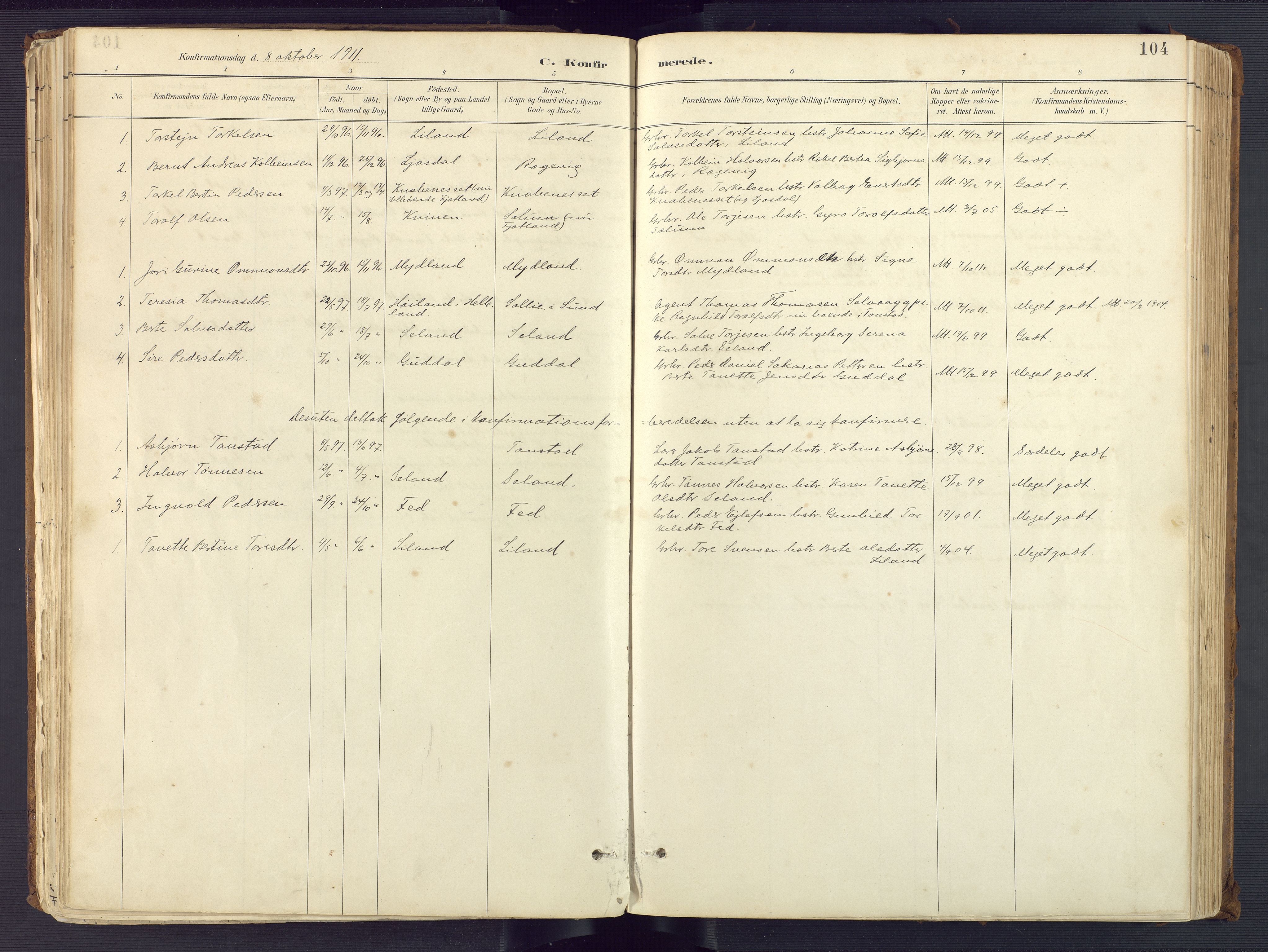 Sirdal sokneprestkontor, SAK/1111-0036/F/Fa/Fab/L0004: Ministerialbok nr. A 4, 1887-1919, s. 104