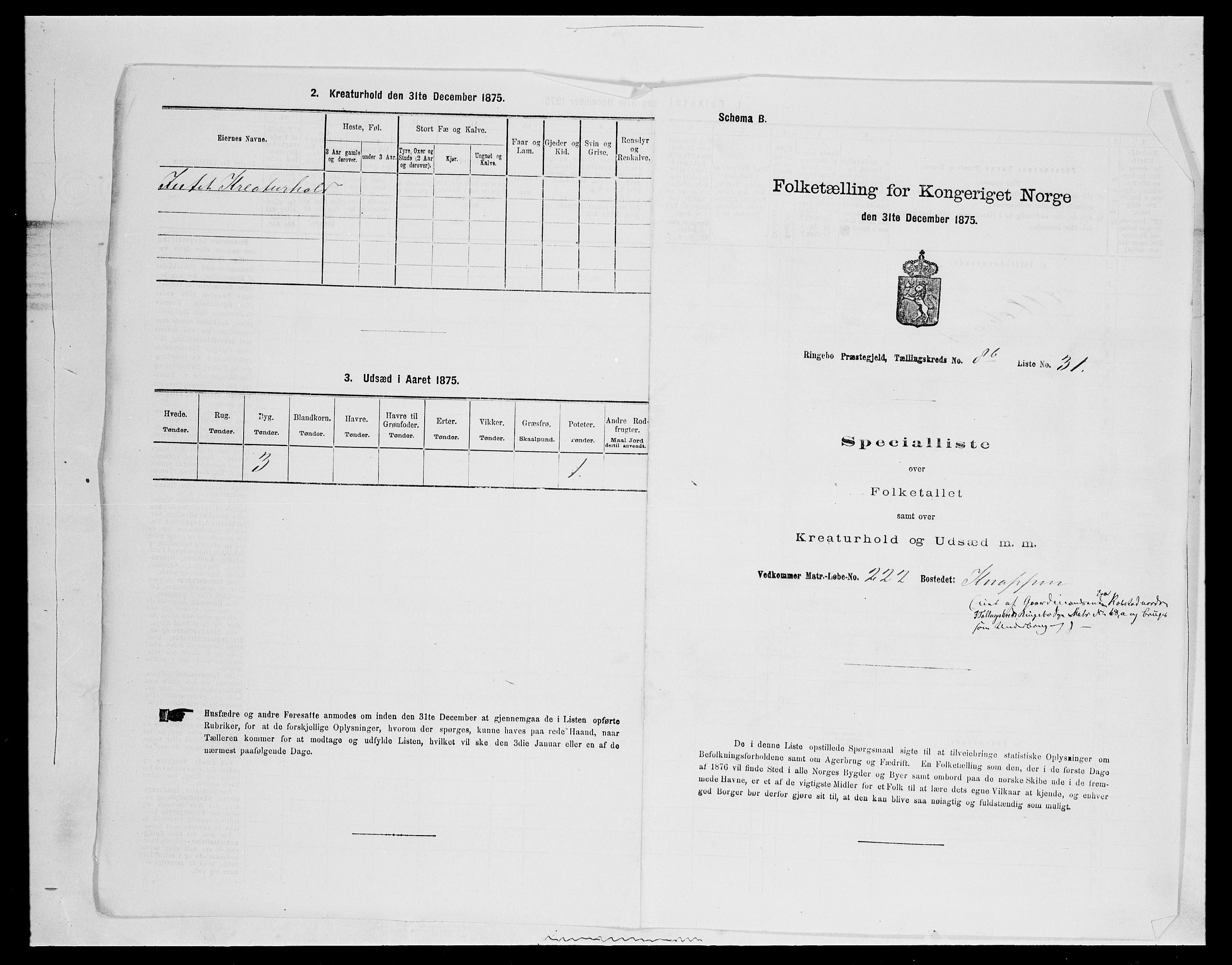 SAH, Folketelling 1875 for 0520P Ringebu prestegjeld, 1875, s. 1332