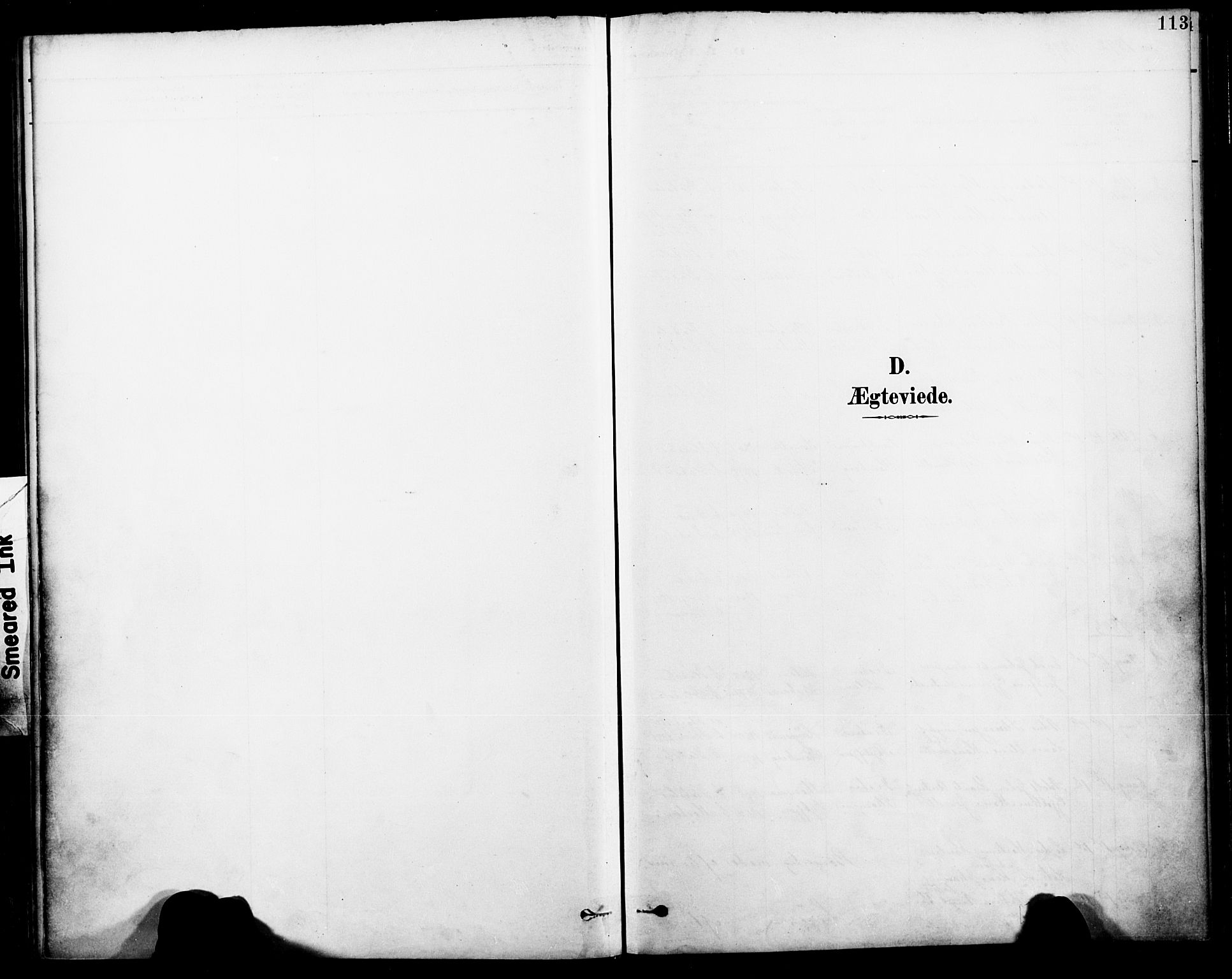 Ministerialprotokoller, klokkerbøker og fødselsregistre - Nordland, AV/SAT-A-1459/885/L1205: Ministerialbok nr. 885A06, 1892-1905, s. 113