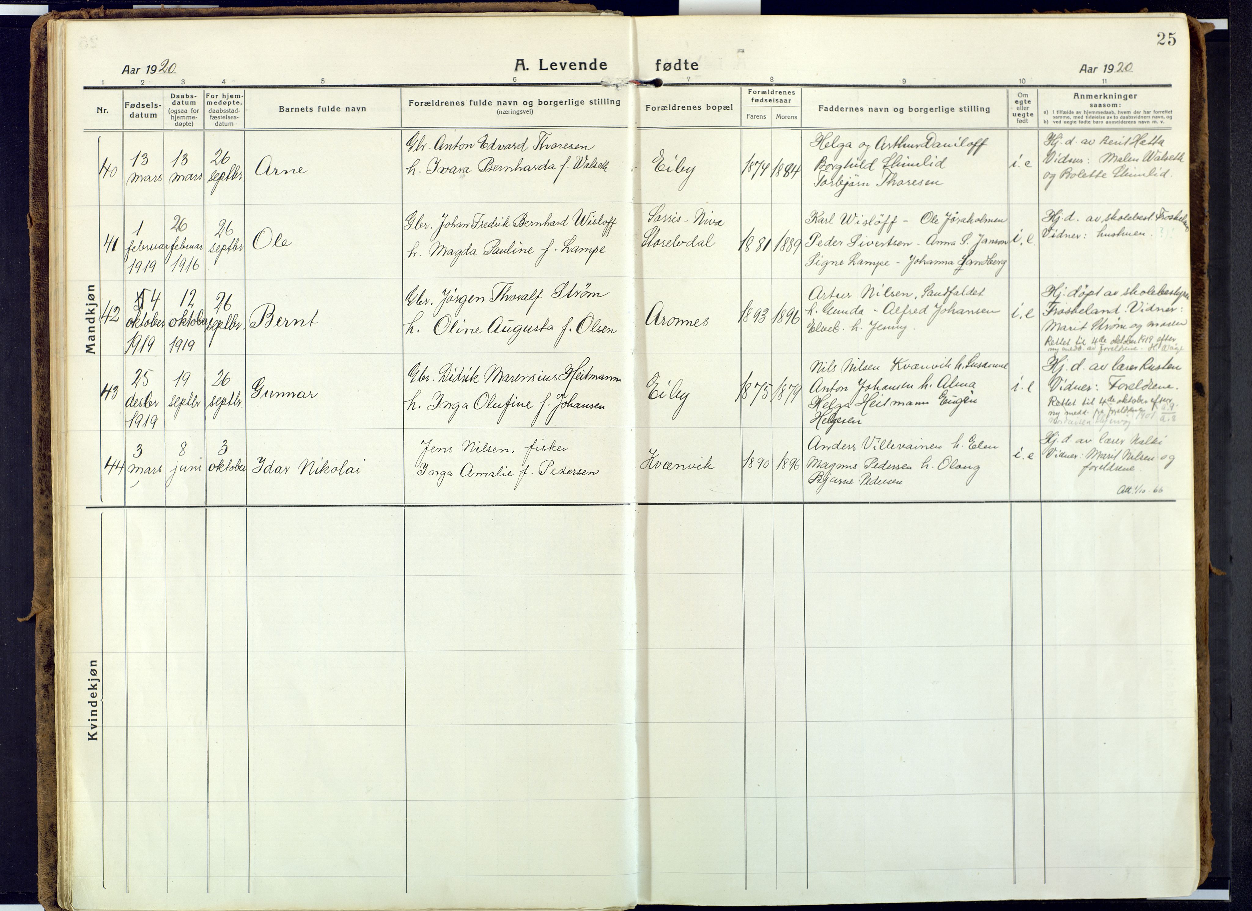 Alta sokneprestkontor, AV/SATØ-S-1338/H/Ha: Ministerialbok nr. 6, 1918-1931, s. 25