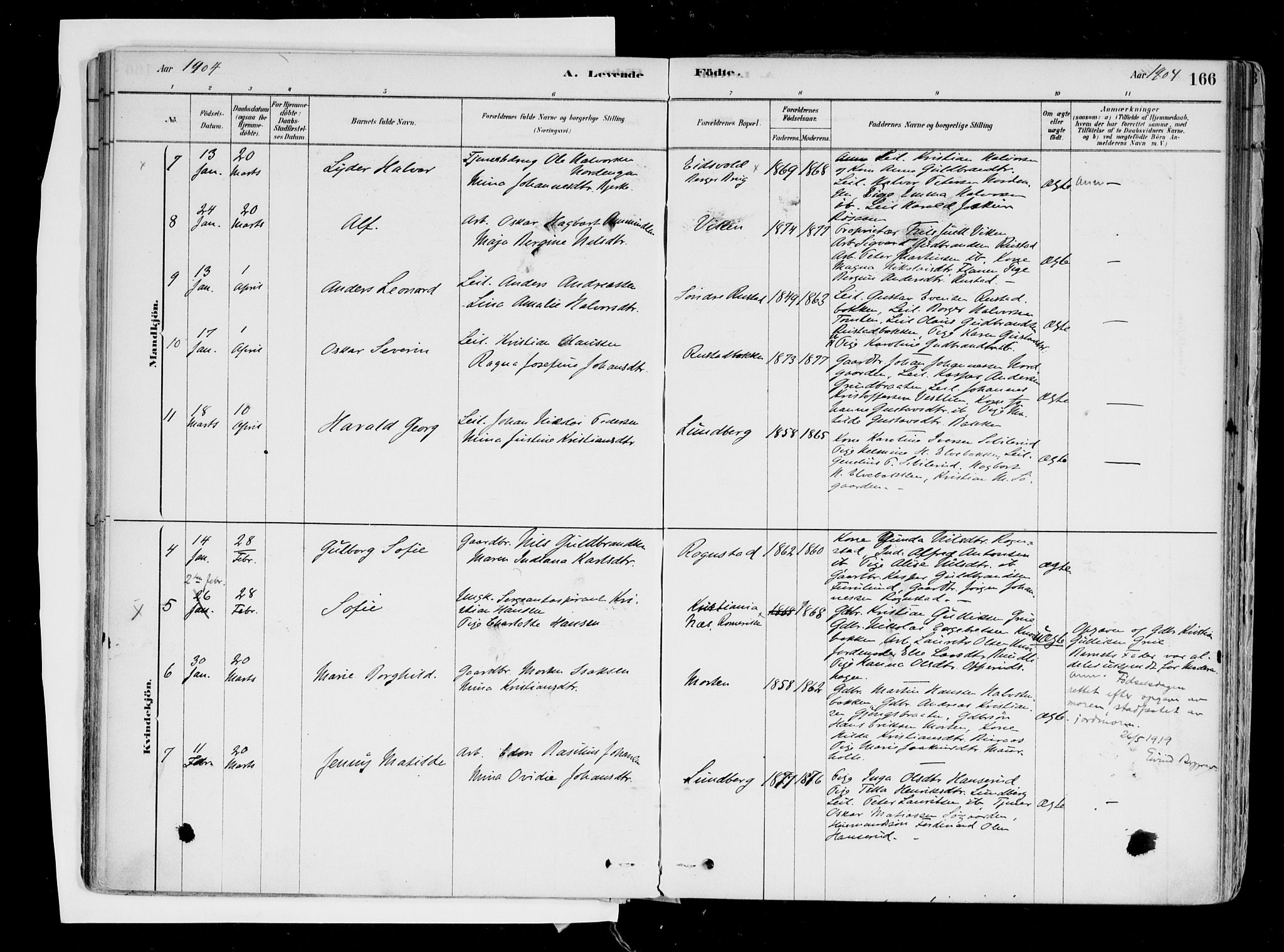 Hurdal prestekontor Kirkebøker, AV/SAO-A-10889/F/Fa/L0007: Ministerialbok nr. I 7, 1878-1906, s. 166