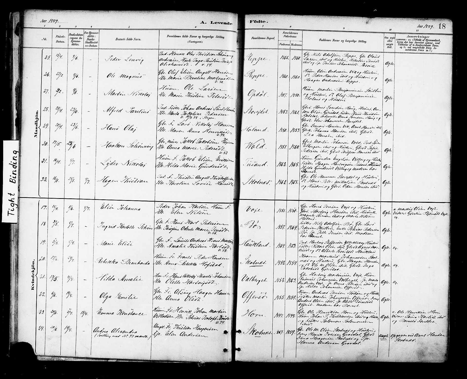 Ministerialprotokoller, klokkerbøker og fødselsregistre - Nordland, SAT/A-1459/881/L1167: Klokkerbok nr. 881C04, 1886-1899, s. 18